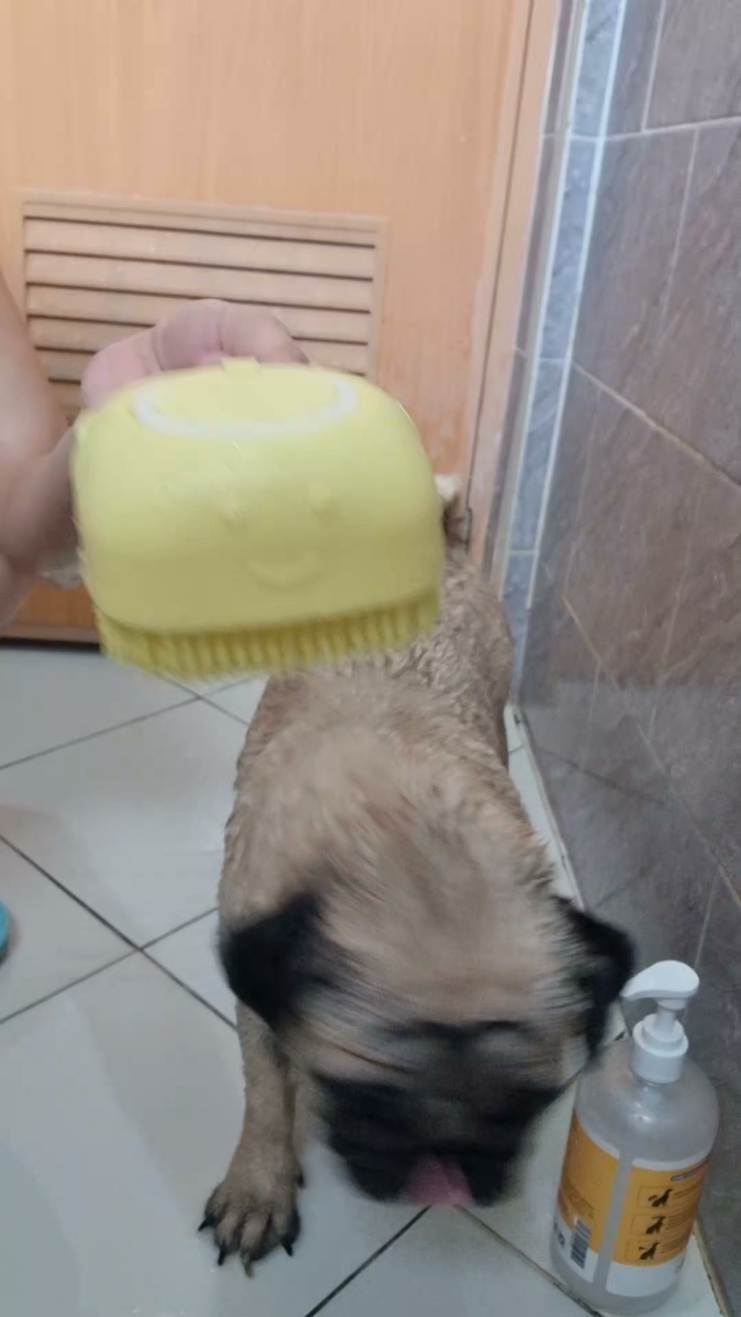 Best Budol Finds Ph Facebook ad: Sabon + Brush in One!
