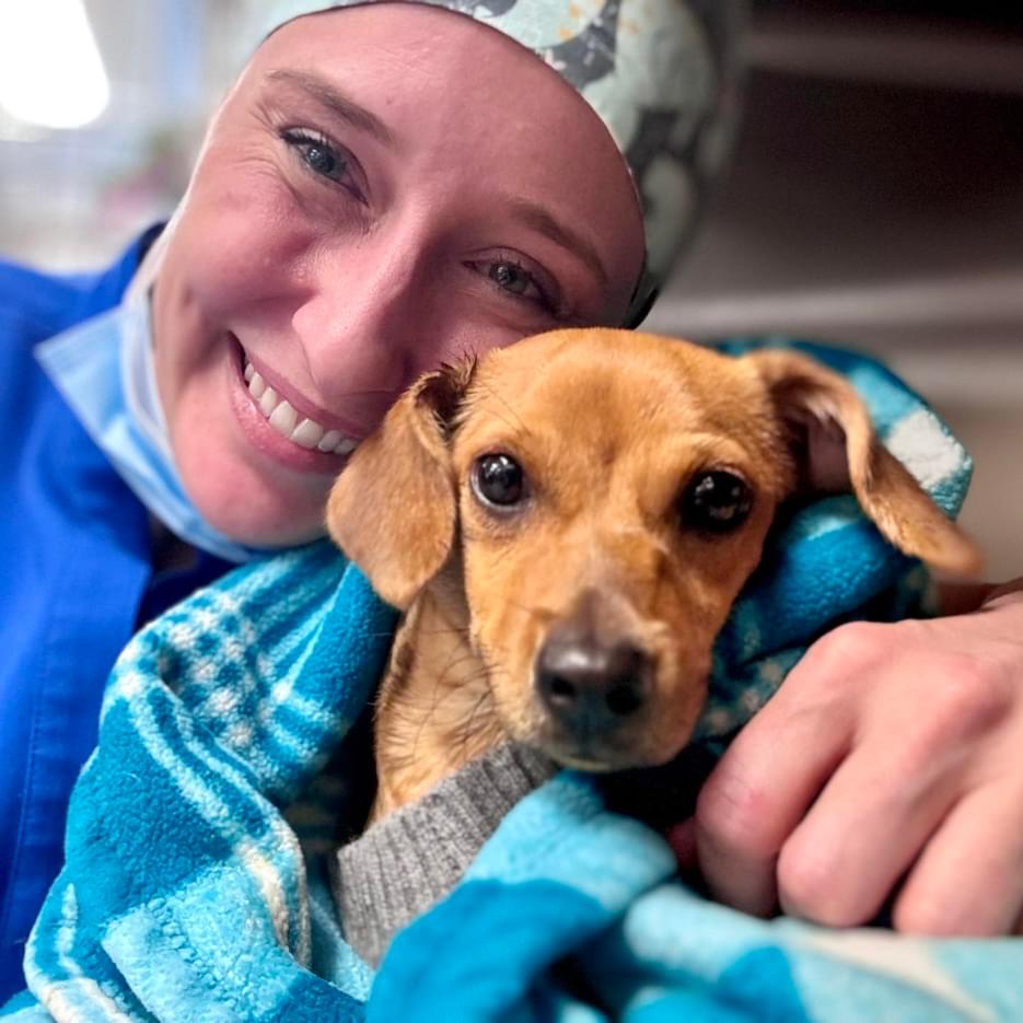 Vet Next Door Facebook ad: A family-owned veterinary hospital offering…