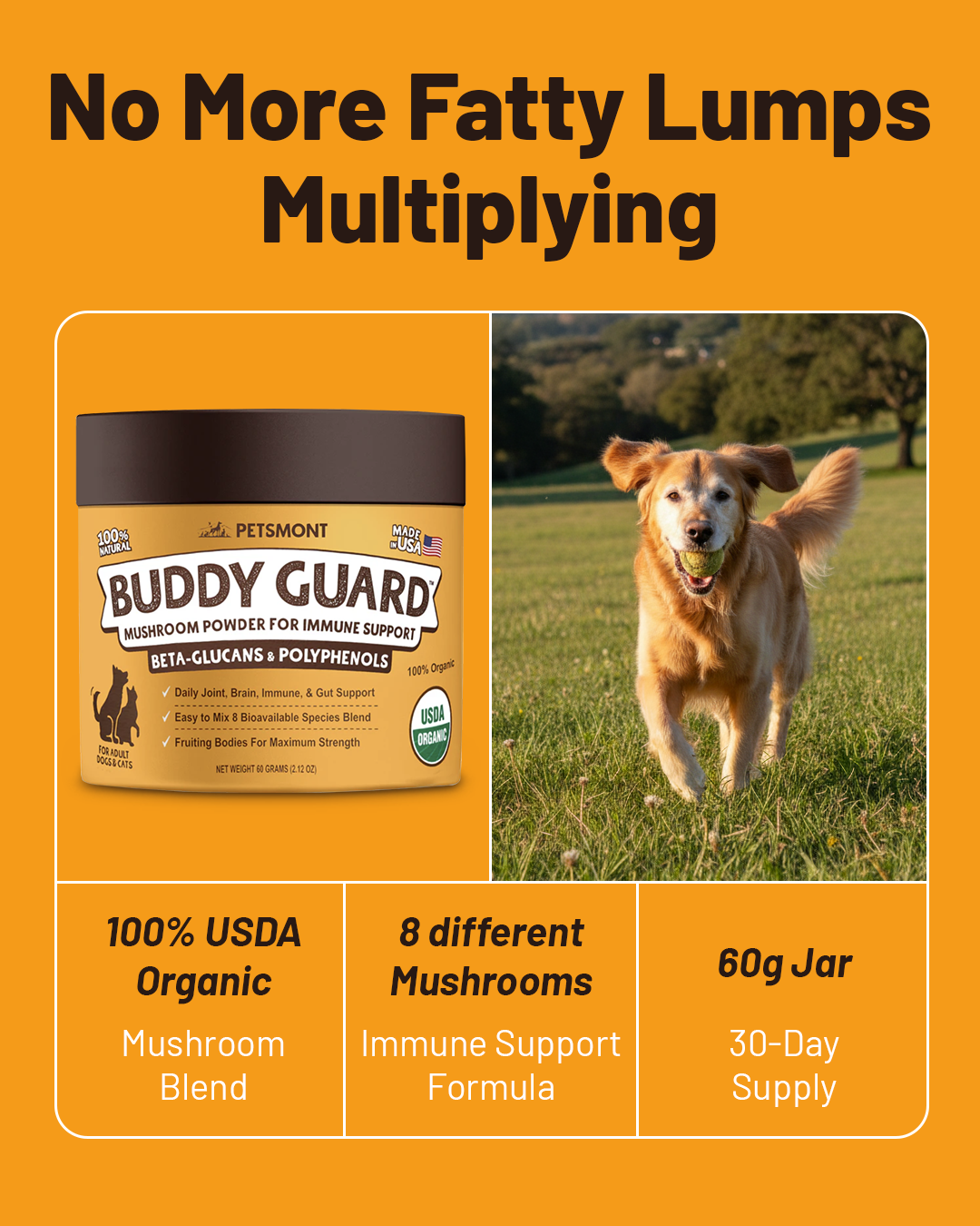Petsmont Facebook ad