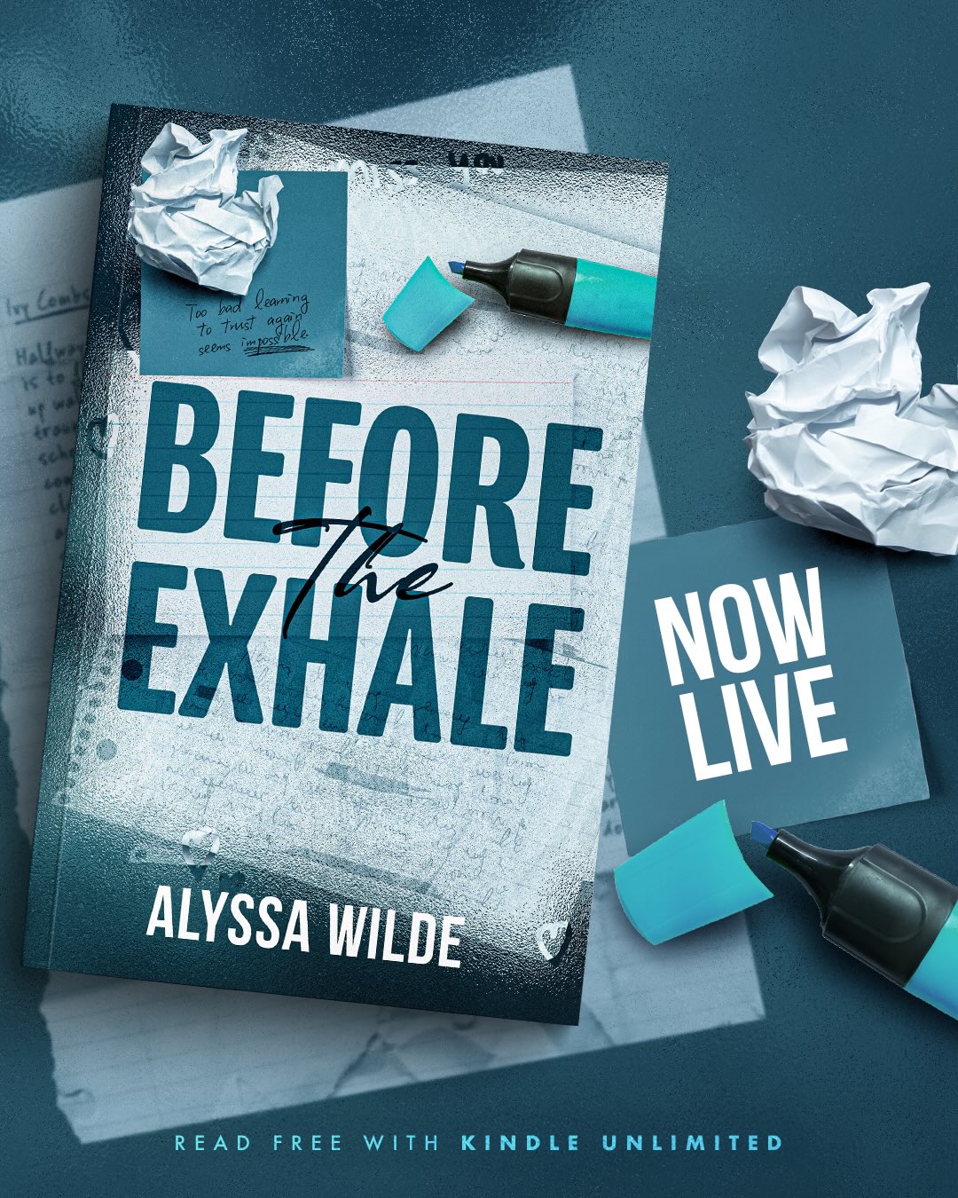 Alyssa Wilde Facebook ad
