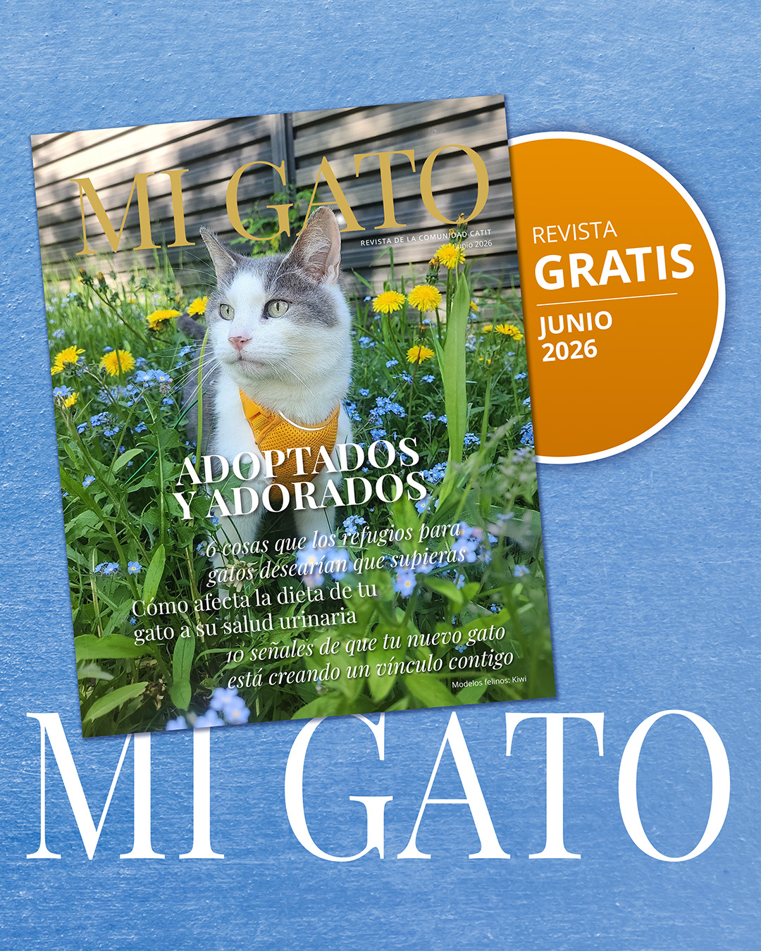 Catit España Facebook ad