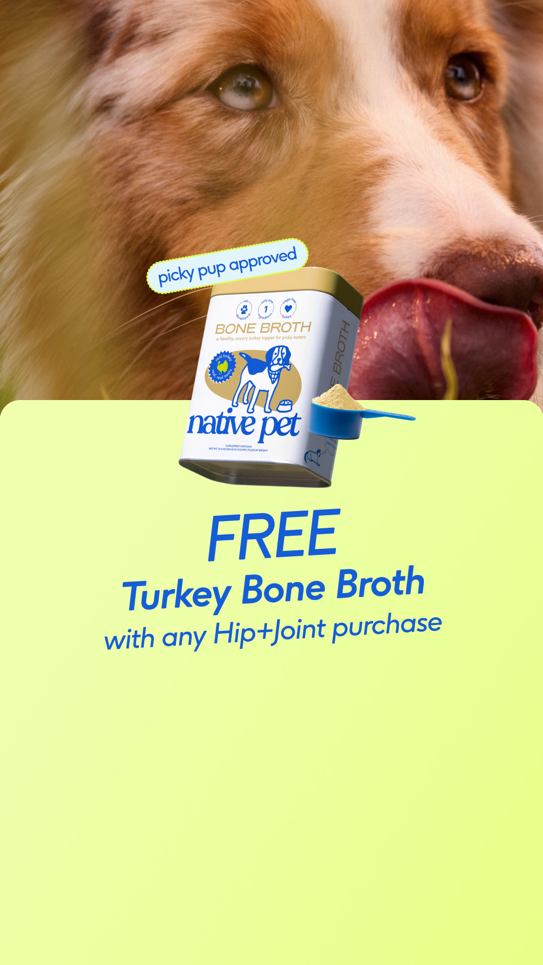 Native Pet Facebook ad