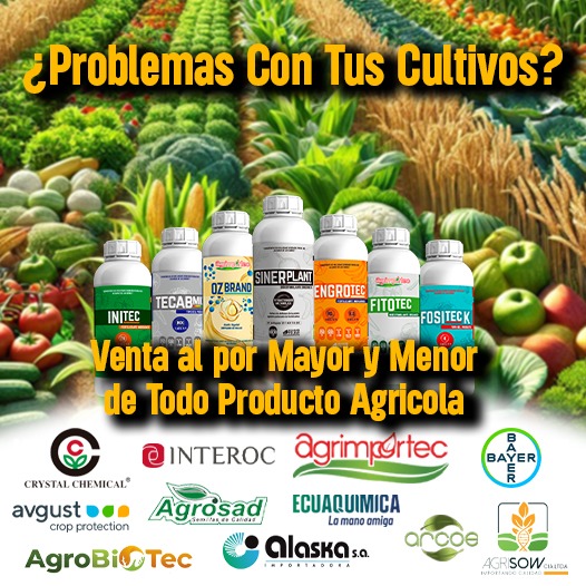 Agropopular Ec Facebook ad: ยก๐๐ซ๐๐ง๐ฌ๐๐จ๐ซ๐ฆ๐ ๐ญ๐ฎ๐ฌ ๐๐ฎ๐ฅ๐ญ๐ข๐ฏ๐จ๐ฌ ๐๐จ๐งโฆ