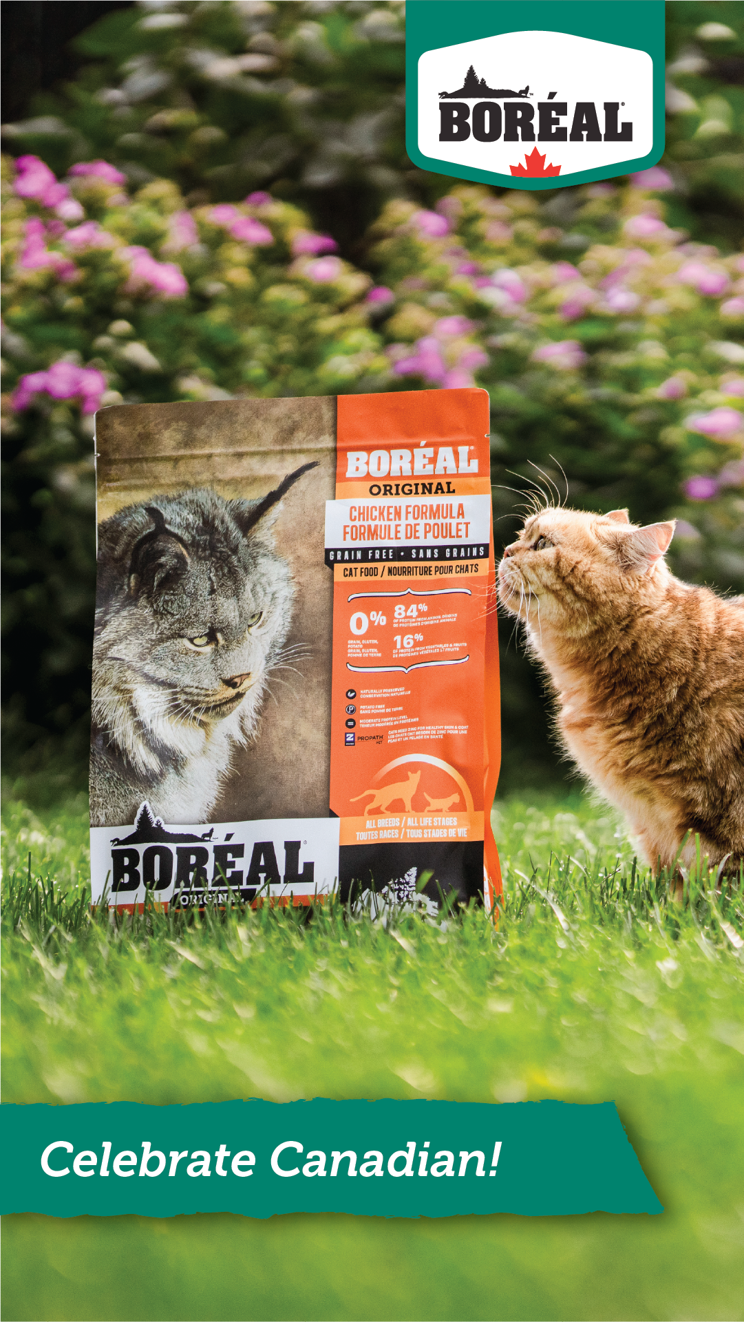 Boréal Pet Food Facebook ad