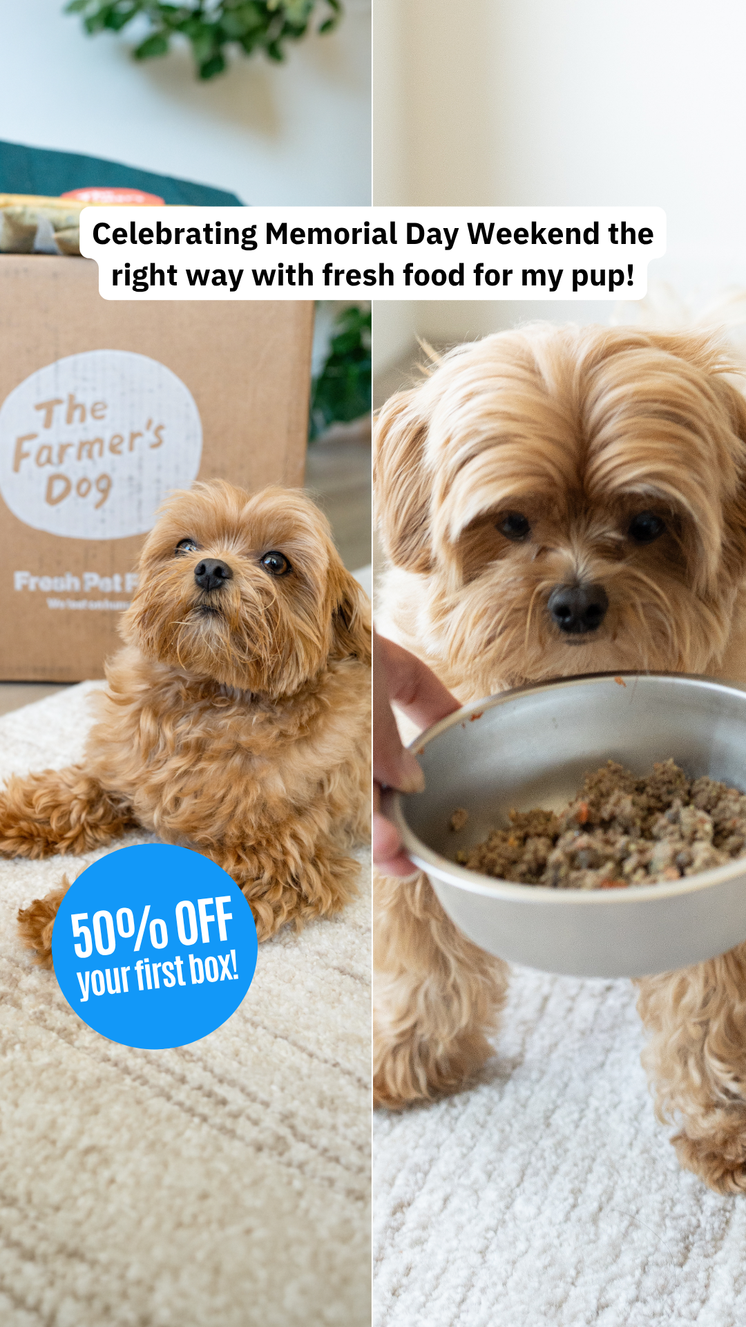 Rounds Of A Paws Facebook ad