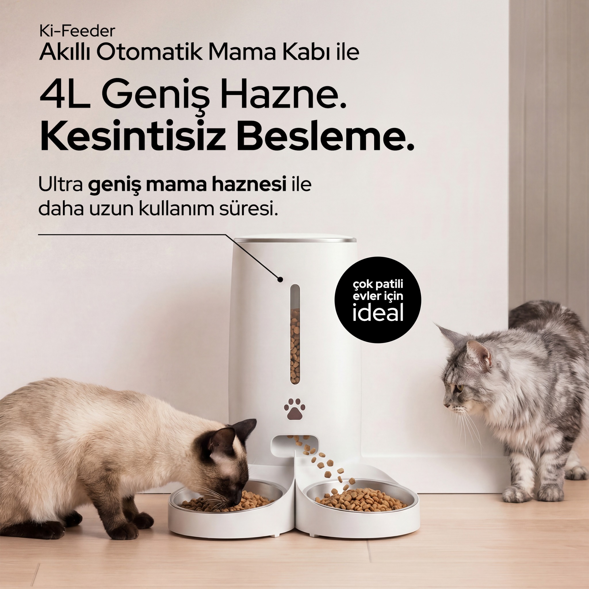 K-paw Facebook ad