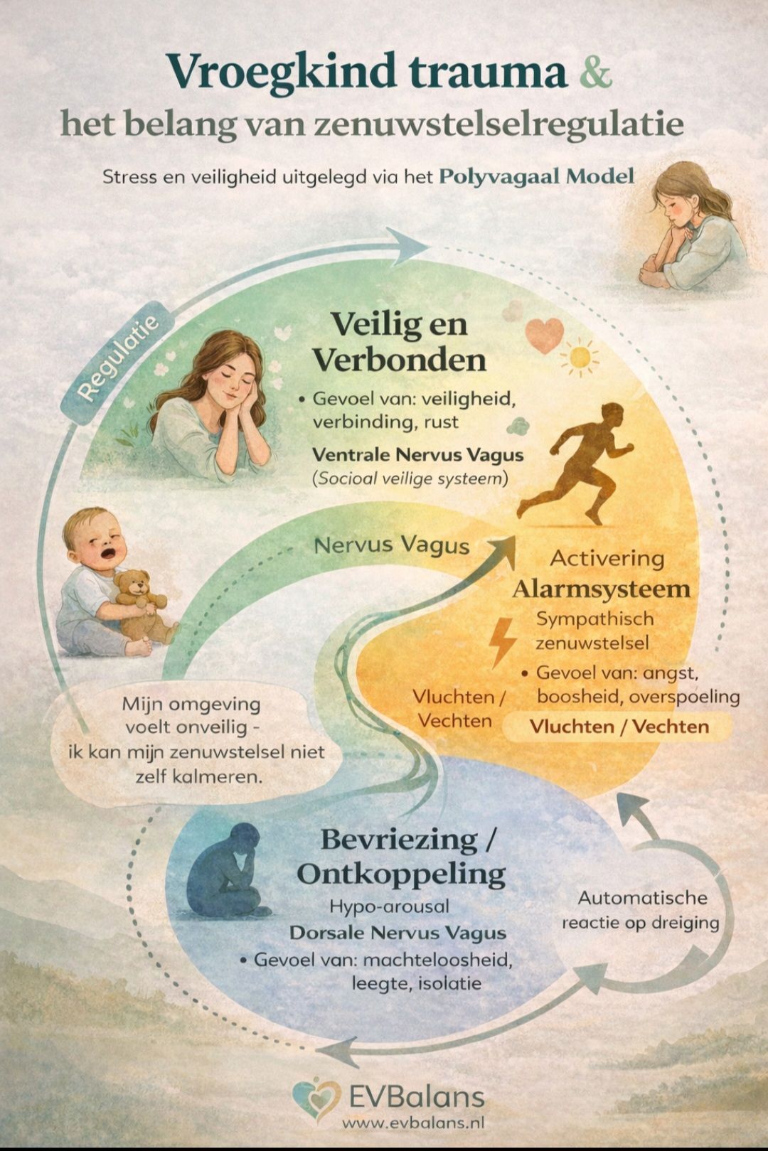 EVBalans Facebook ad: Vroegkinderlijk trauma & waarom zenuwstelselregulatie zo…