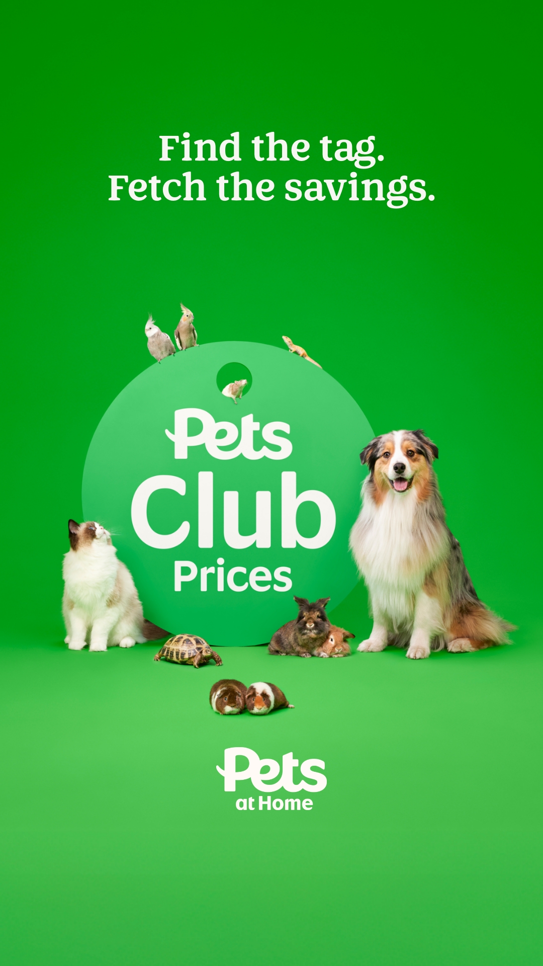 Pets UK Facebook ad