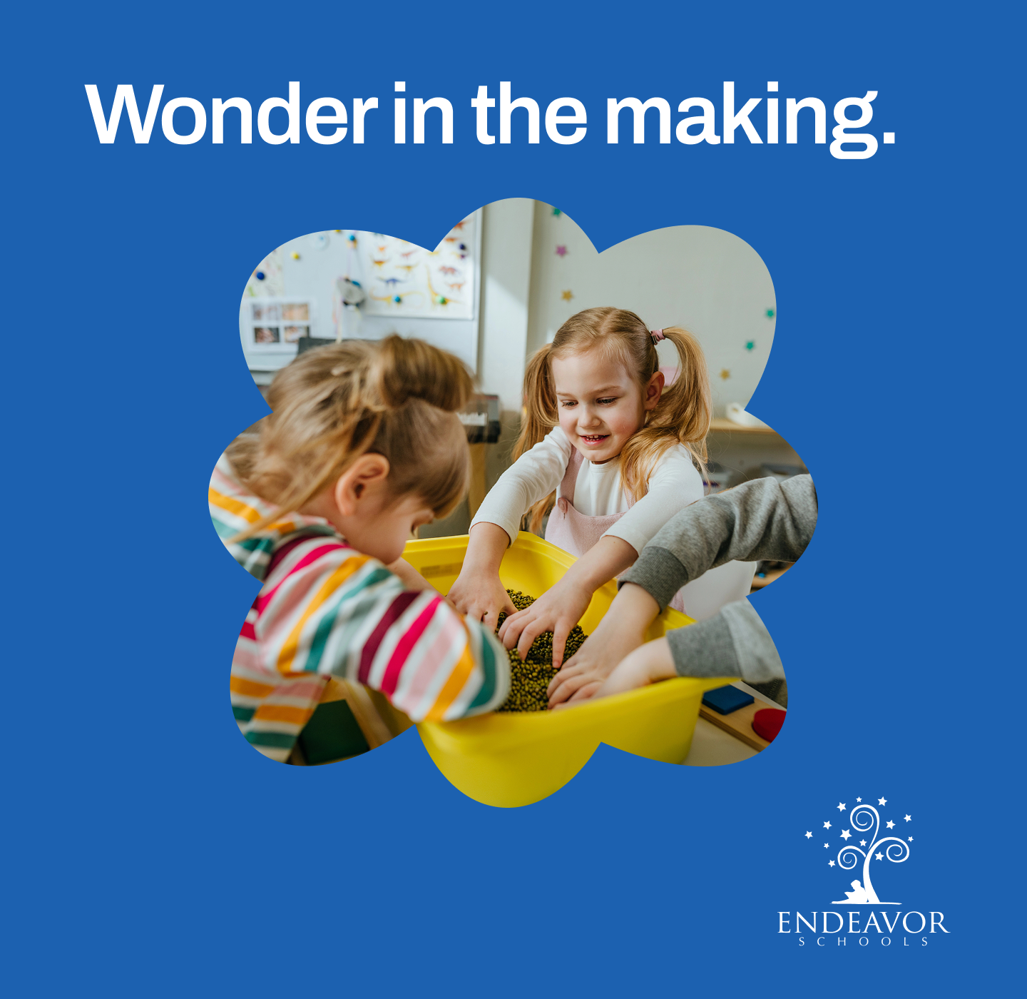 Parker-Chase Preschool - Sprayberry Facebook ad from Jun 10, 2026