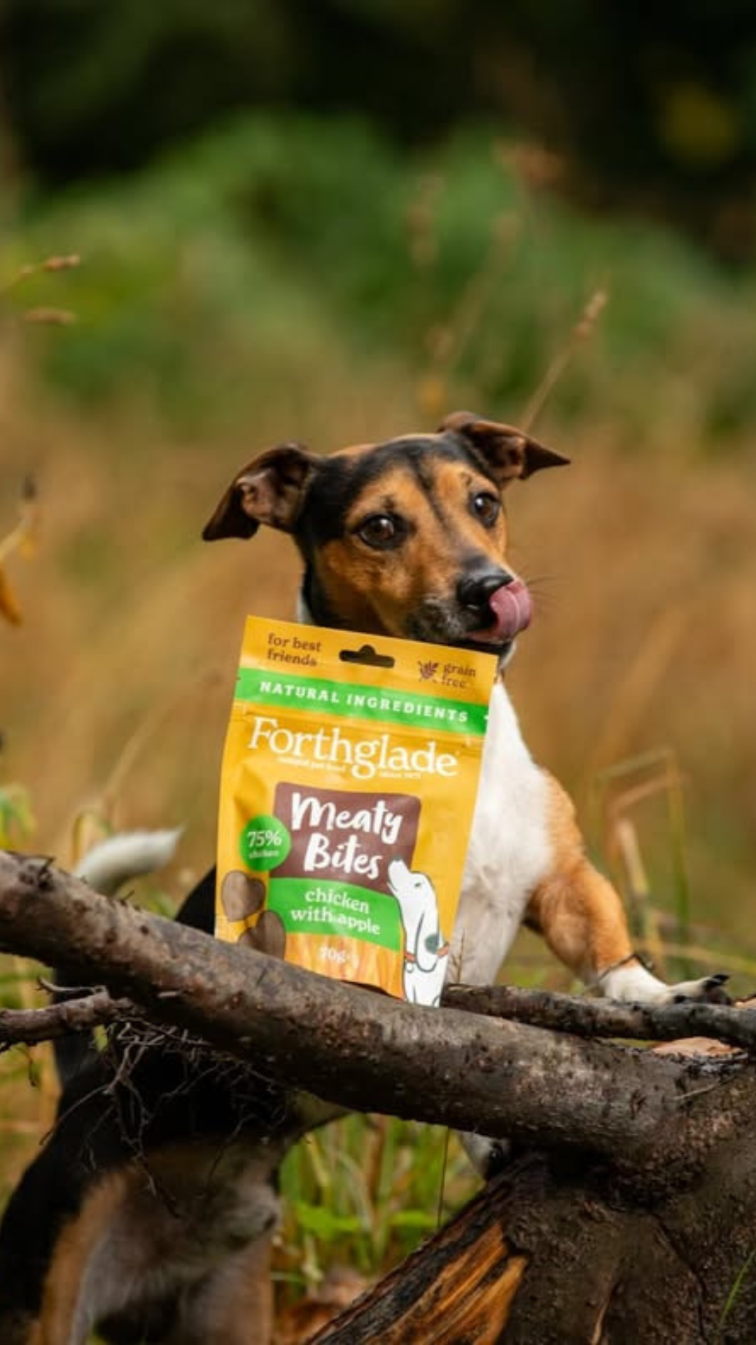 Your Dog Facebook ad: Meaty Bites Chicken with Apple - Dog Treats | Forthglade