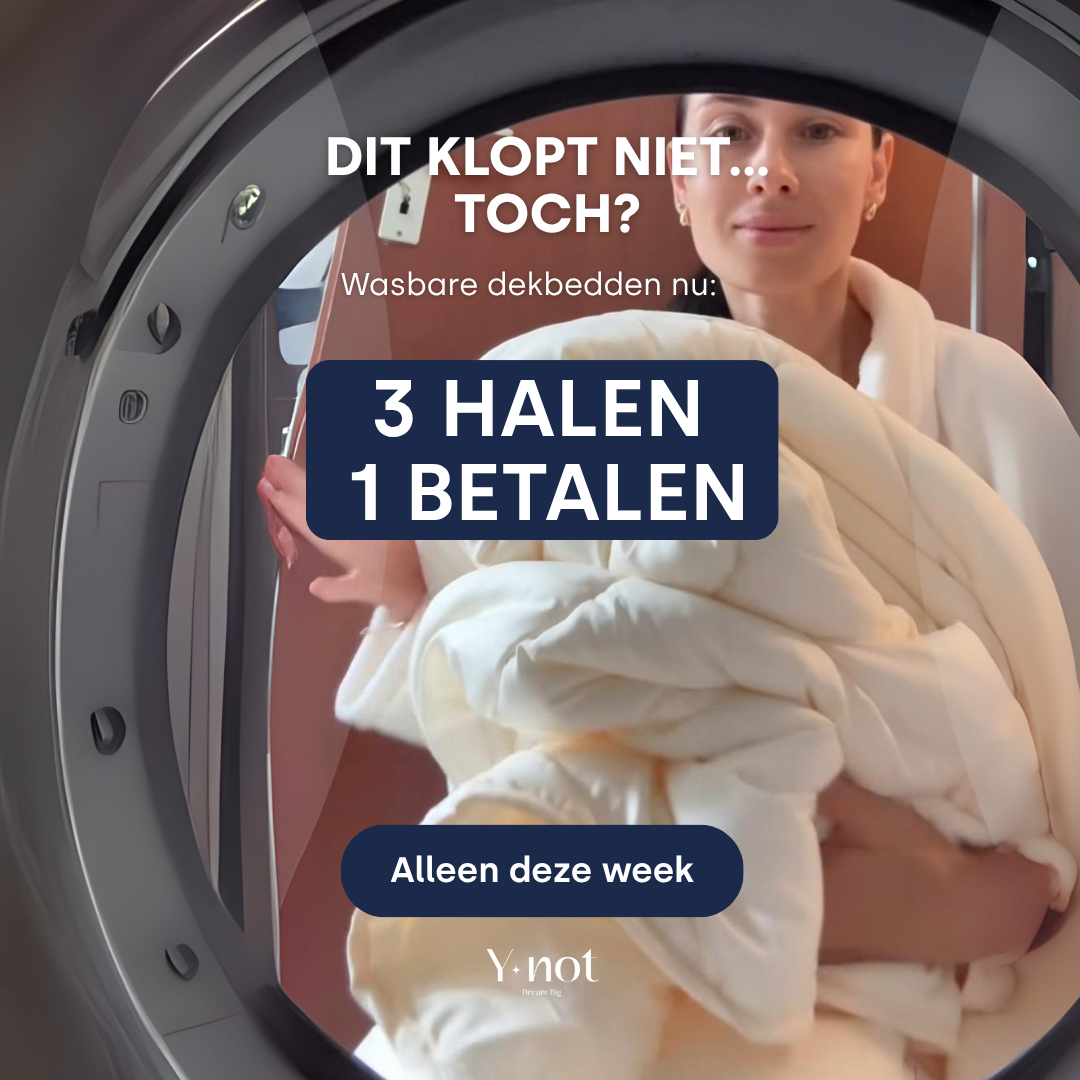 Ynot-dreambig Facebook ad
