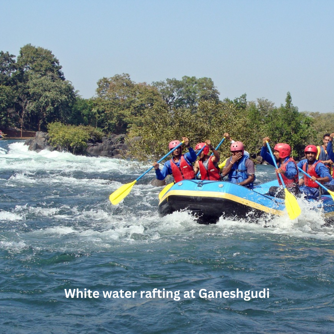 Avadale Facebook ad: Dandeli trip pending?