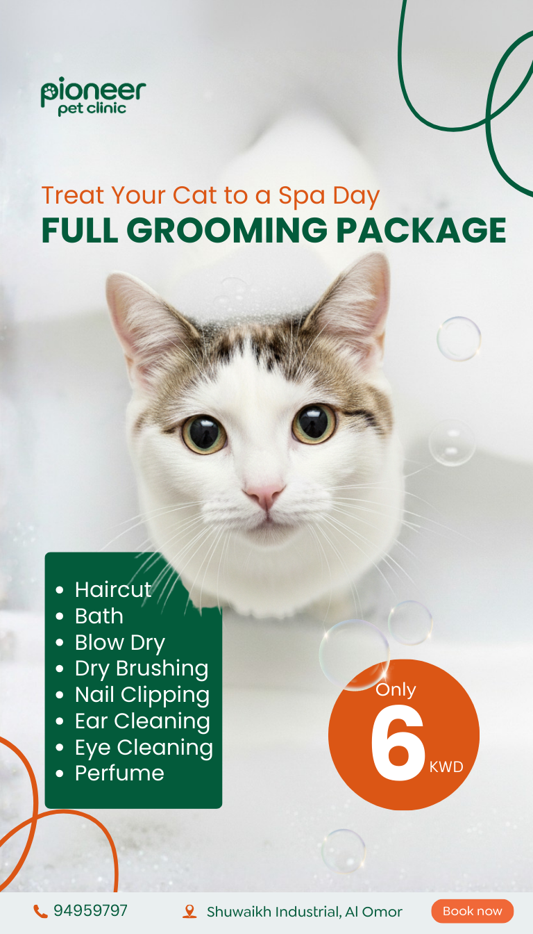 Pioneer Pet Clinic Facebook ad