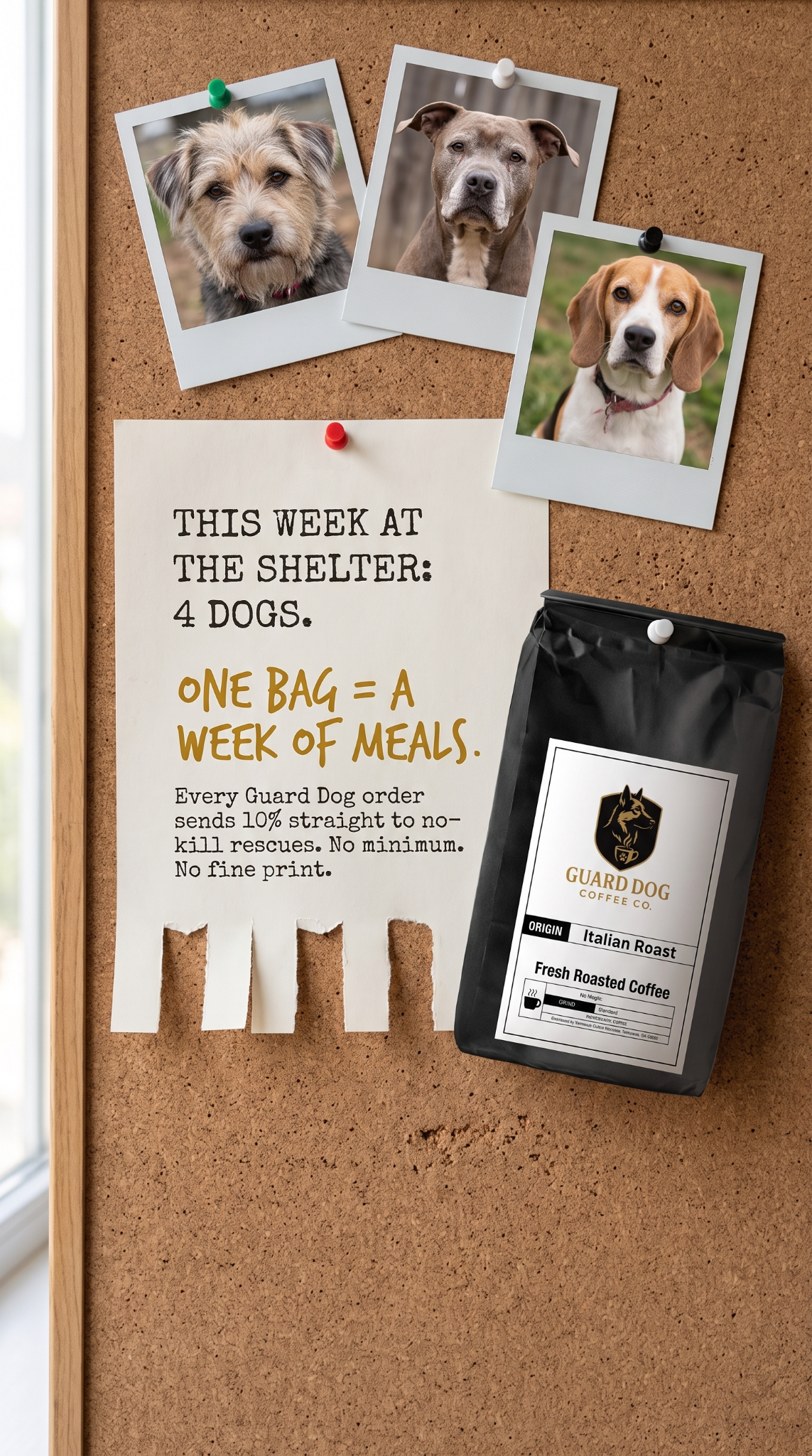 Guard Dog Coffee Co. Facebook ad
