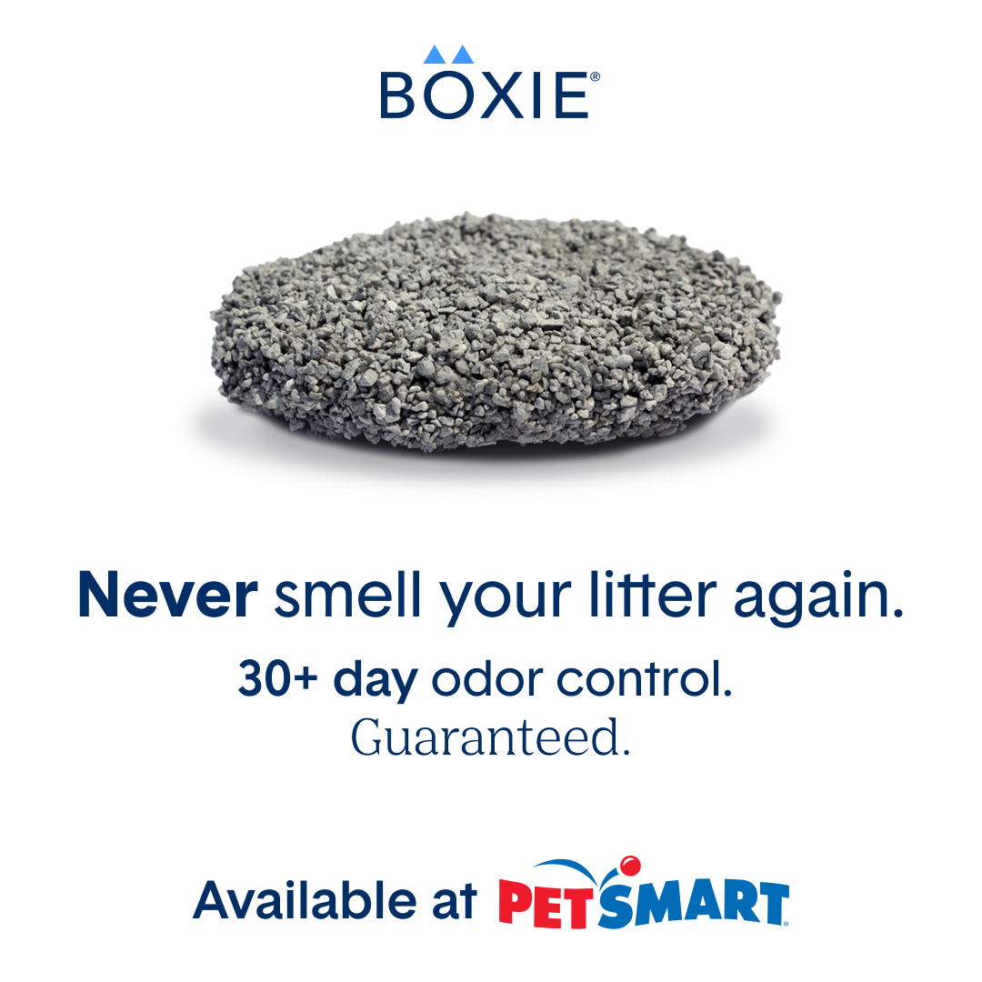 Boxiecat Facebook ad