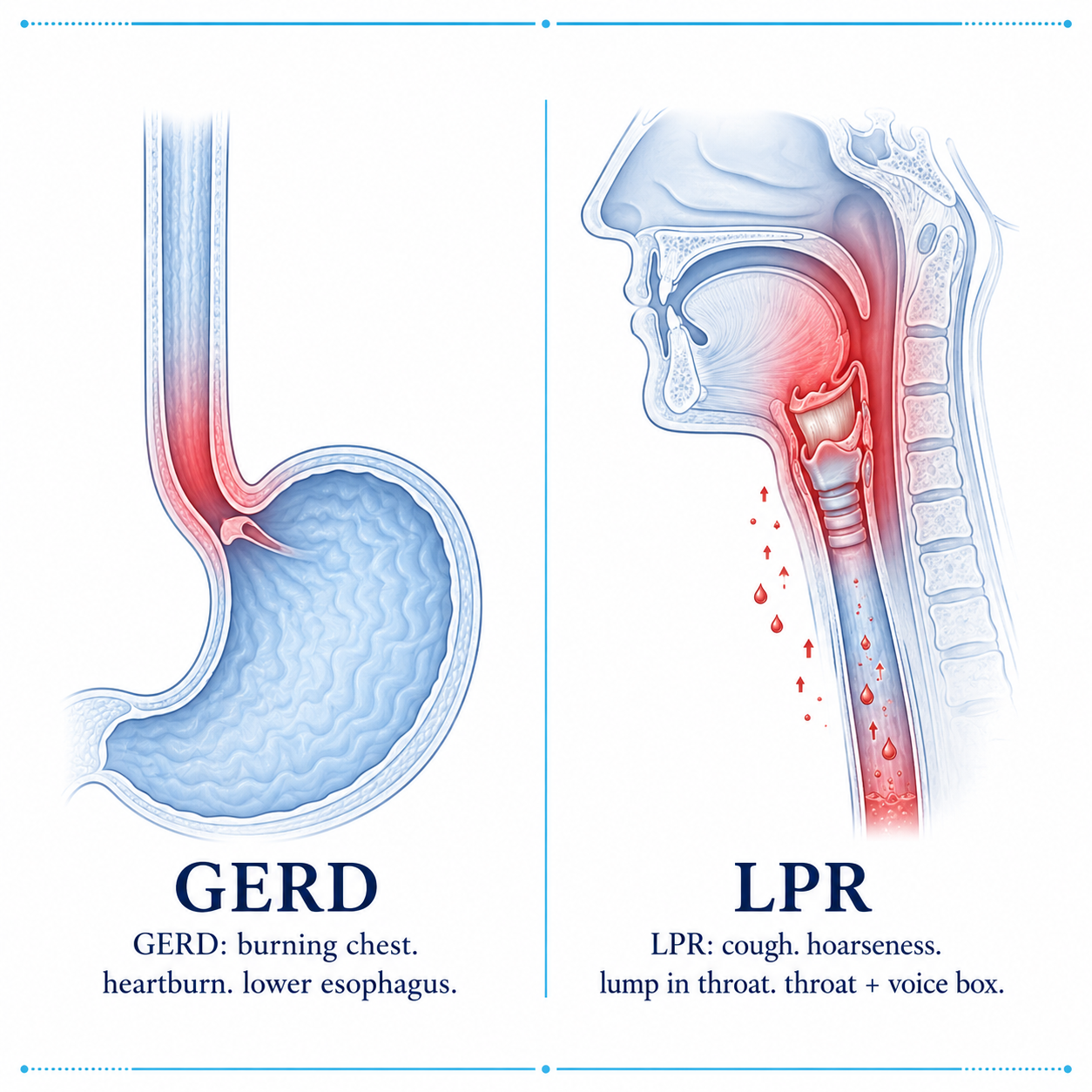 The Gut Lining Lab Facebook ad