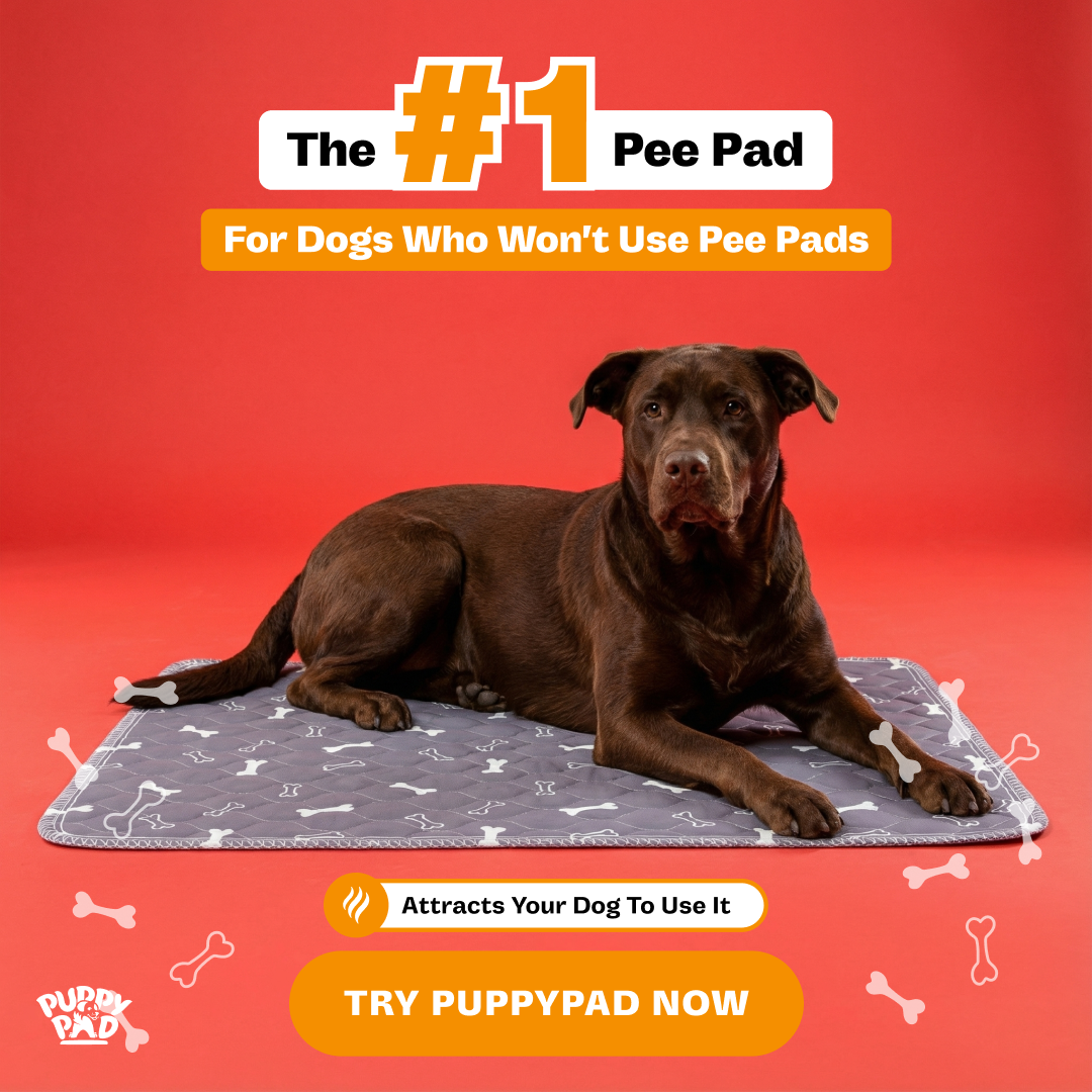 PuppyPad Facebook ad