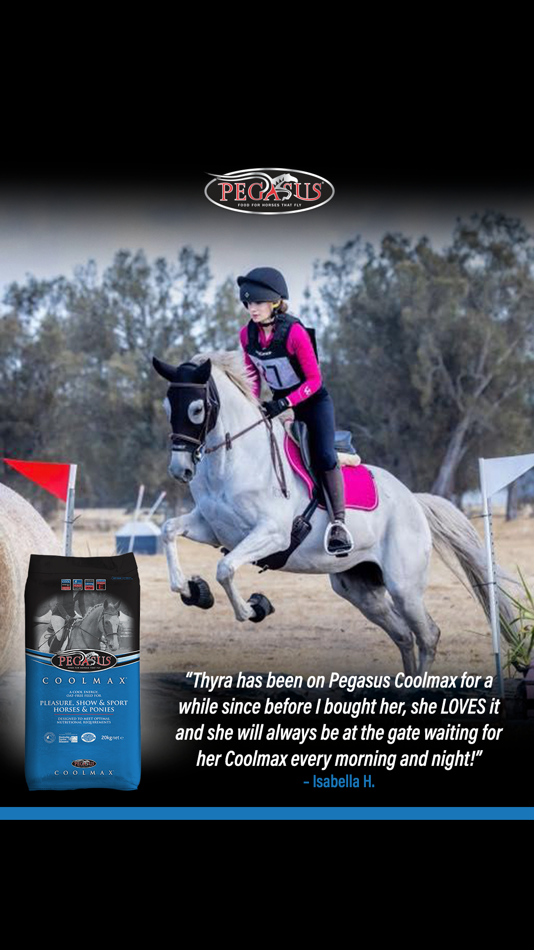 Pegasus Feeds Facebook ad
