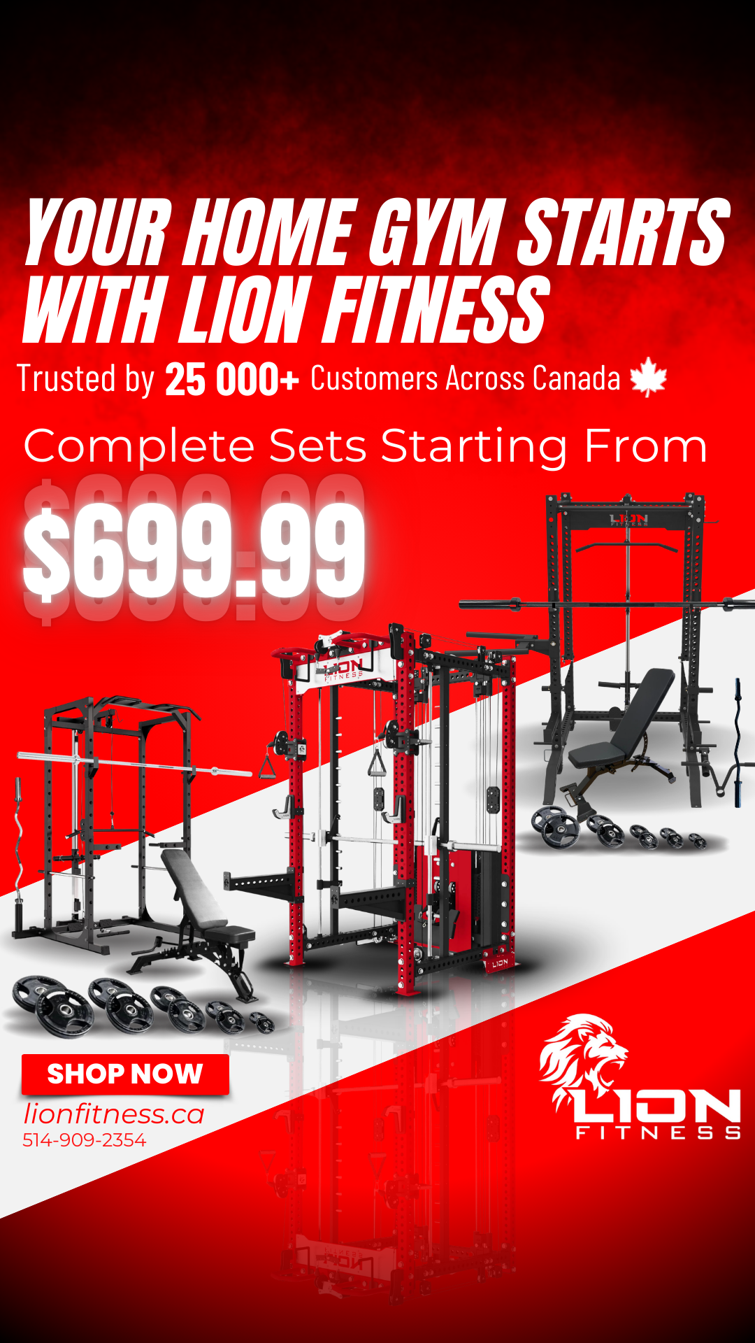 Lion Fitness Facebook ad