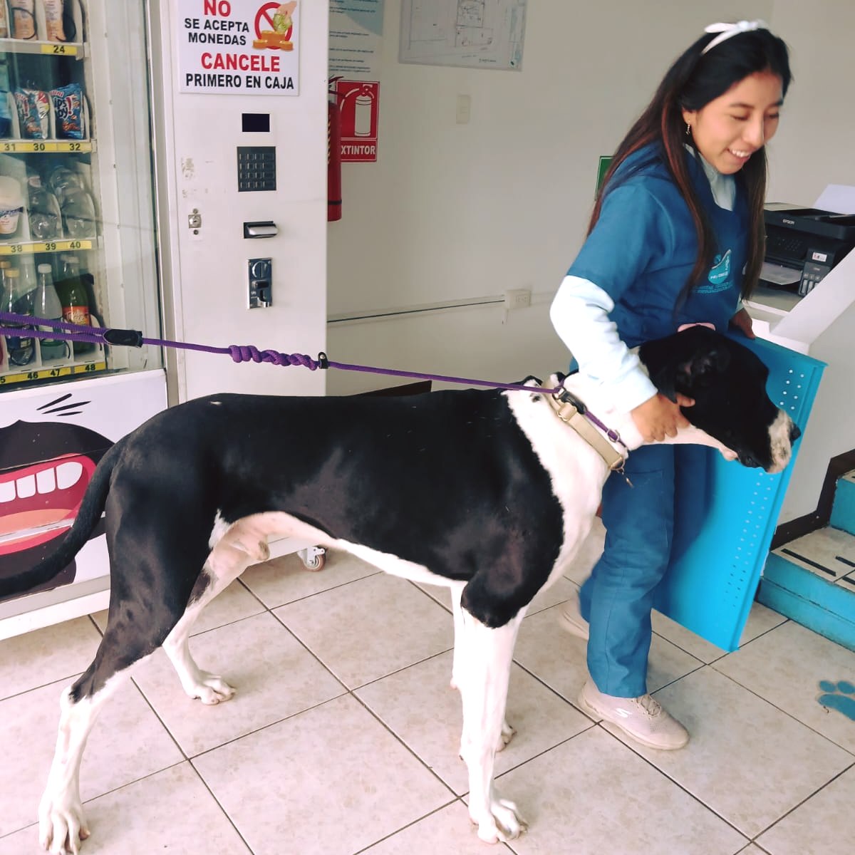 Clínica Veterinaria Sinaí Valle de los Chillos Facebook ad: Cada paciente tiene una historia.