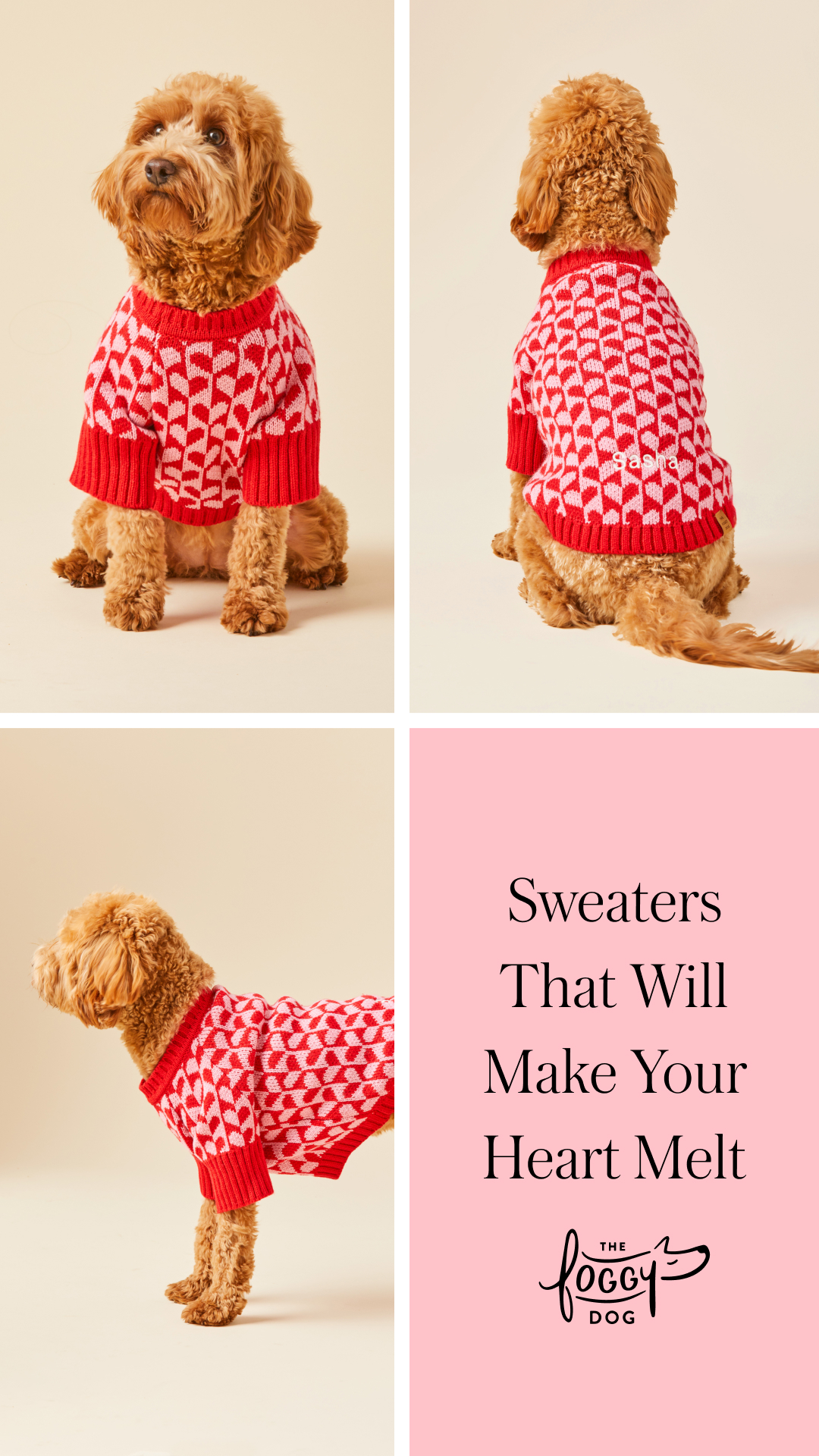 The Foggy Dog Facebook ad