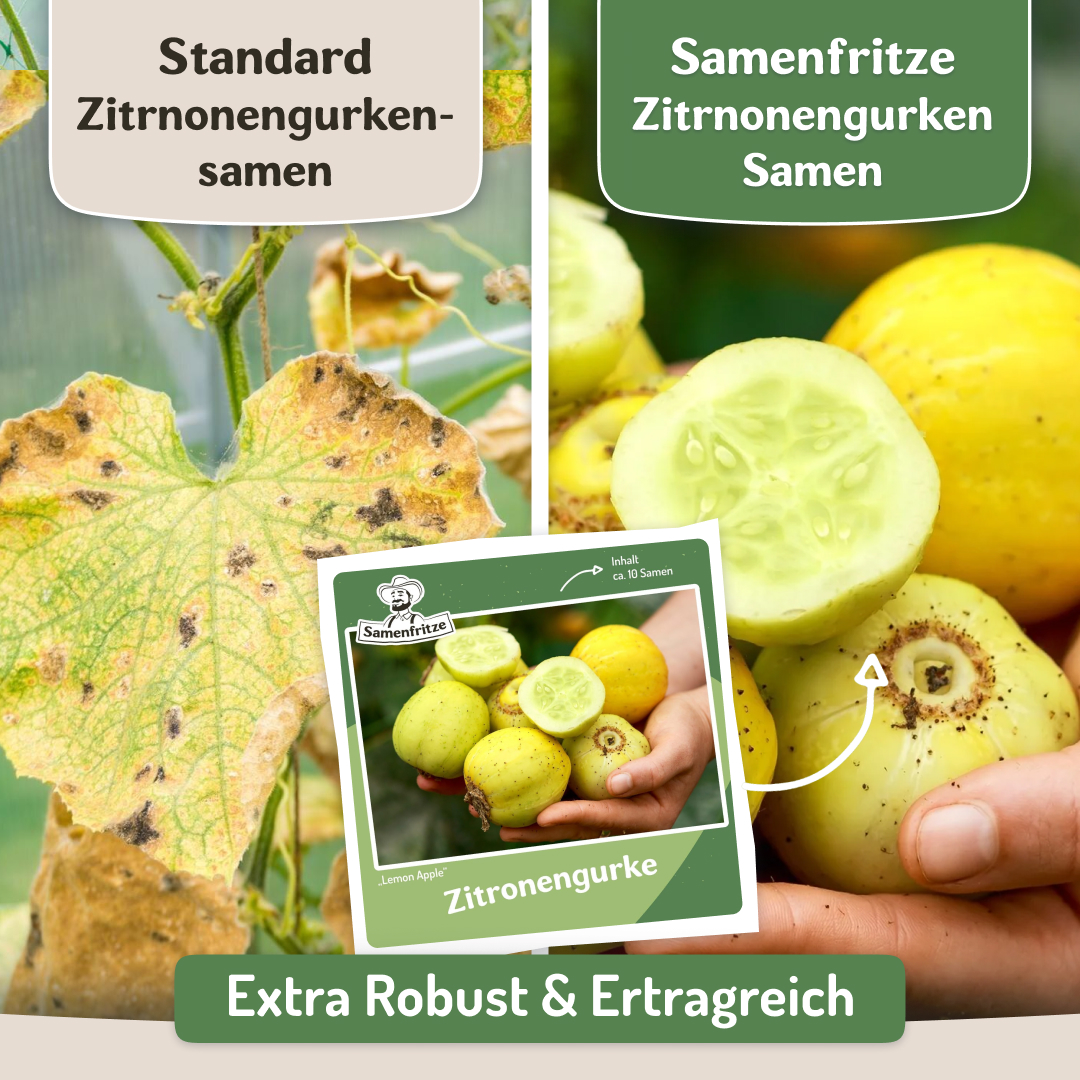 Samenfritze Facebook ad