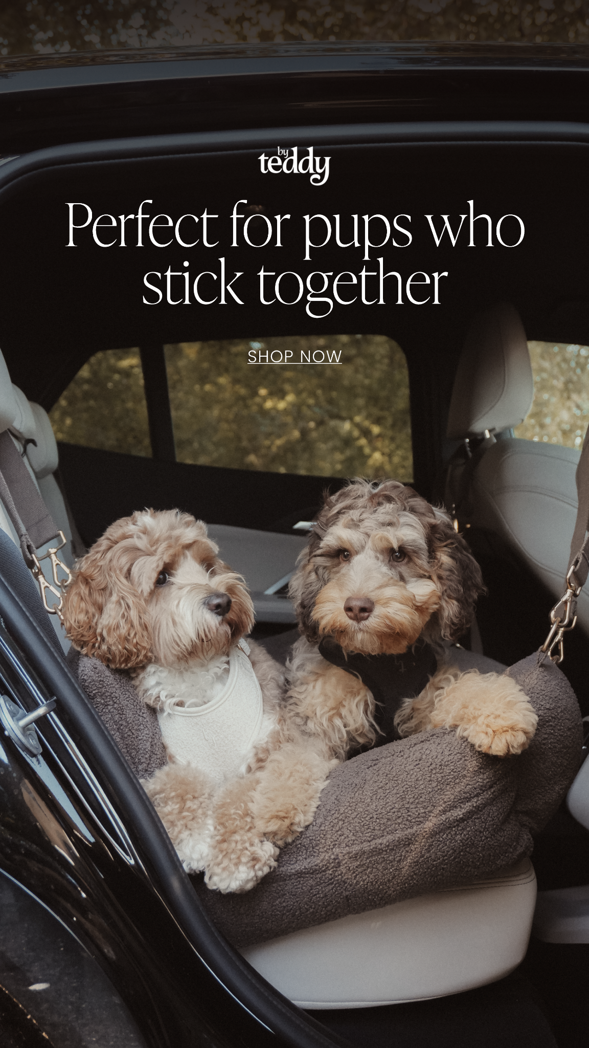 By Teddy Facebook ad