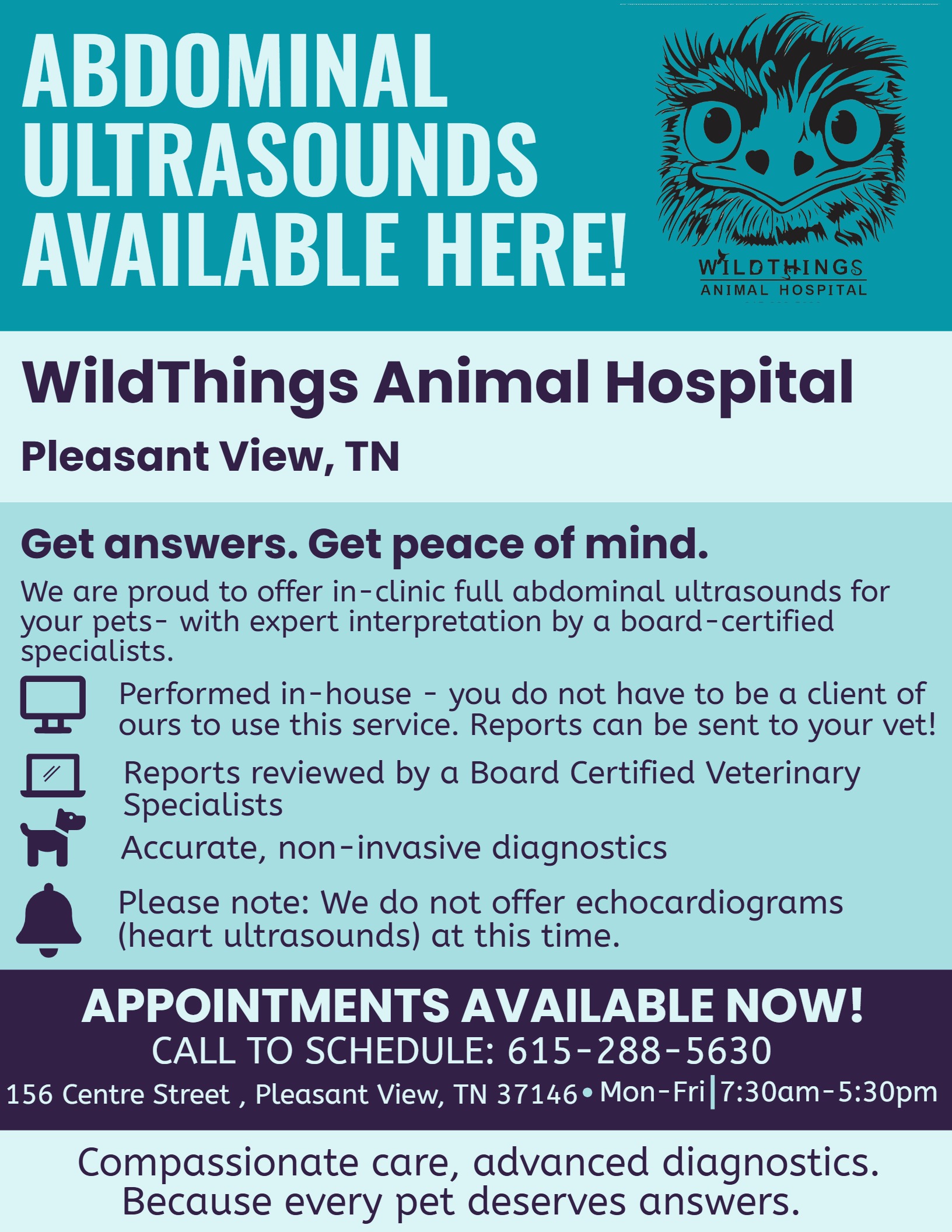 WildThings Animal Hospital Facebook ad: Veterinarian in Pleasant View, TN | Wild Things Animal…