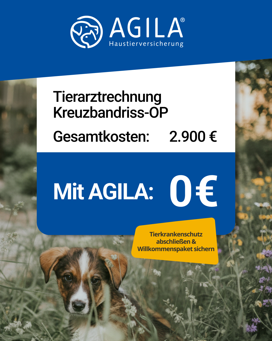 AGILA Haustierversicherung Facebook ad