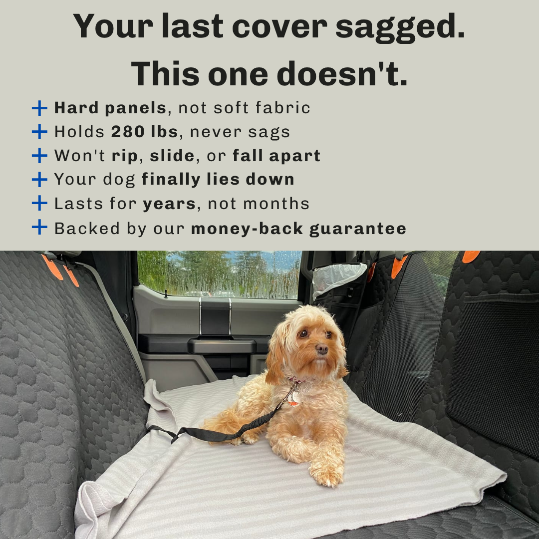 AutoPaws Facebook ad