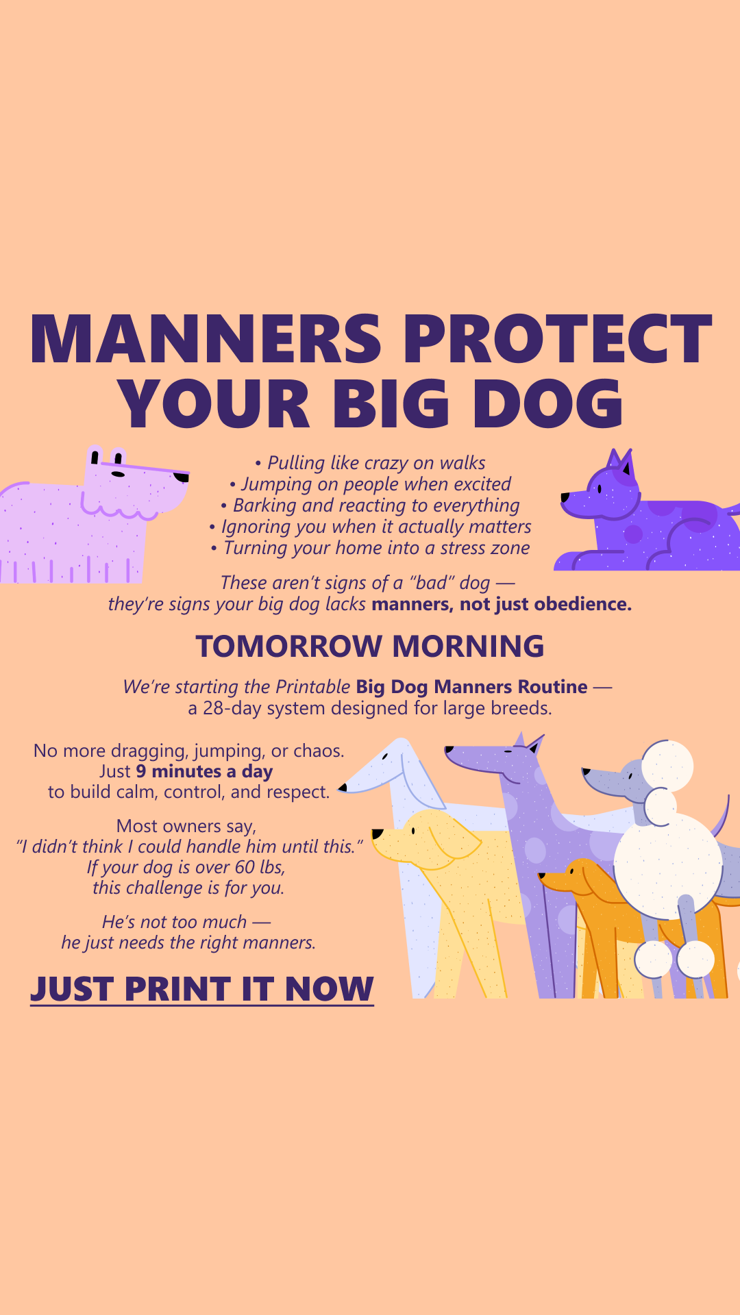 Cooper Vance Facebook ad: Start Dog Obedience Challenge