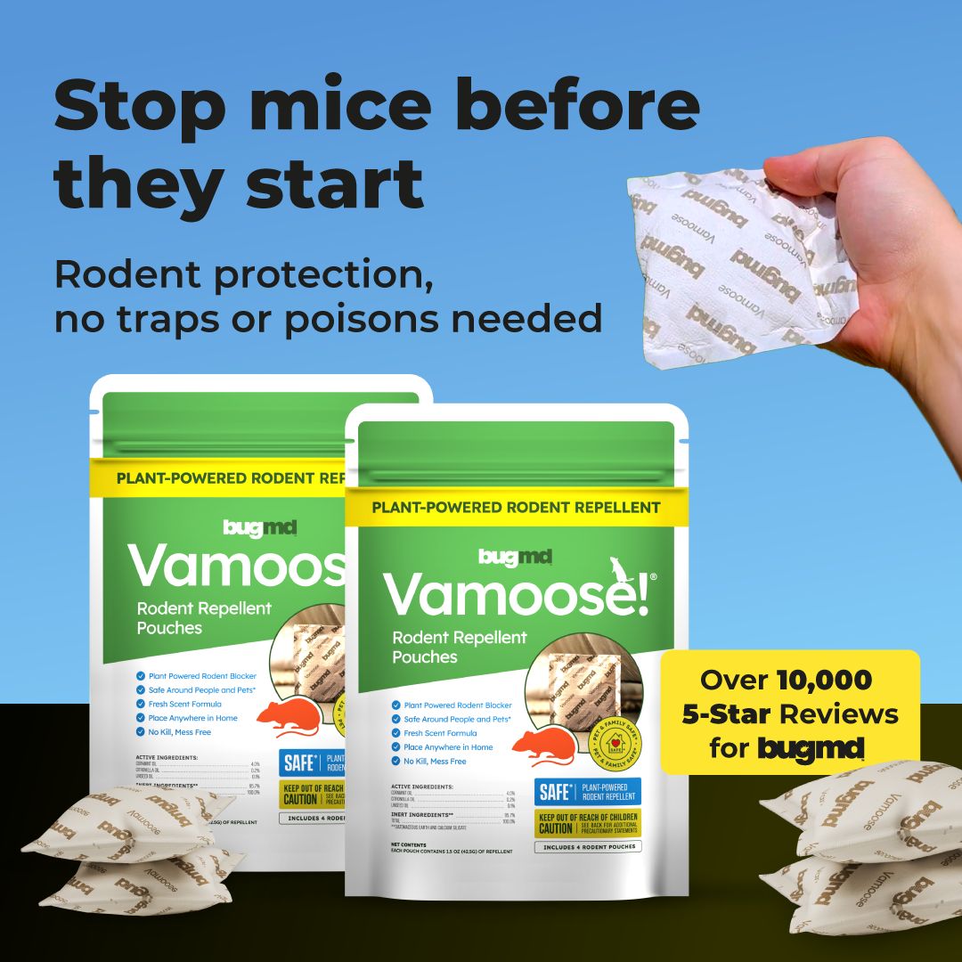Vamoose Facebook ad