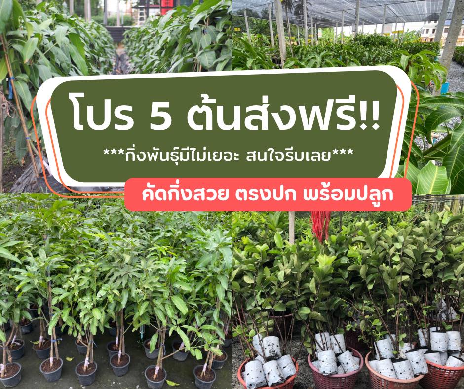 สวนสมบัติพันธุ์ไม้นครปฐม Facebook ad: ของมีไม่เยอะ