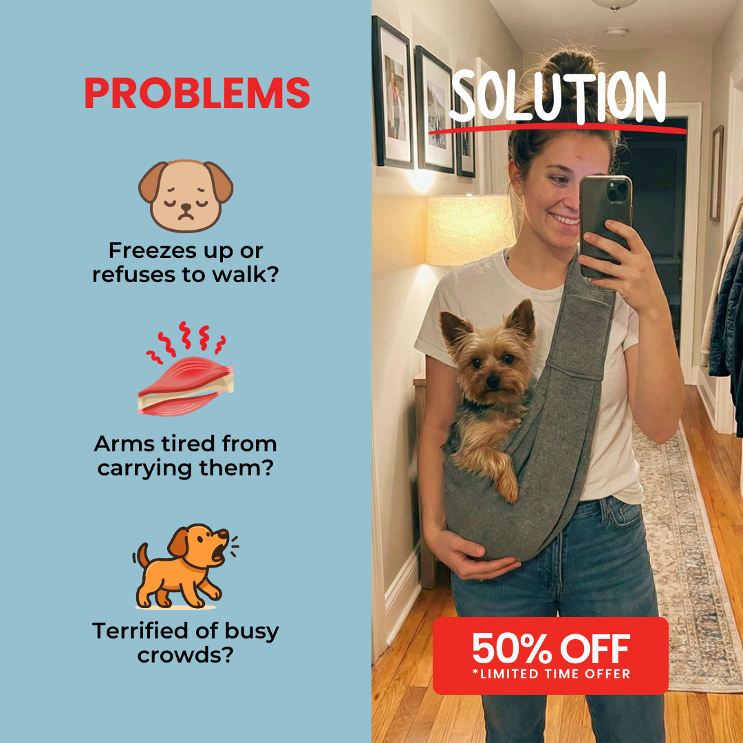 Hunters Doggy Daycare Facebook ad