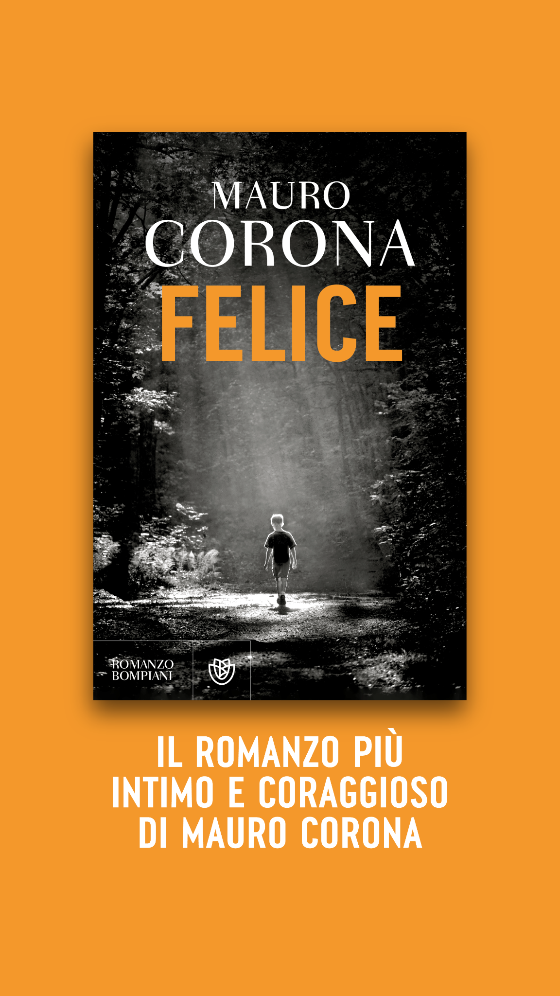 Bompiani Facebook ad: Felice