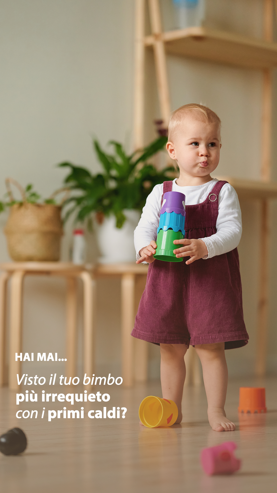 HiPP Biologico Facebook ad from May 25, 2026