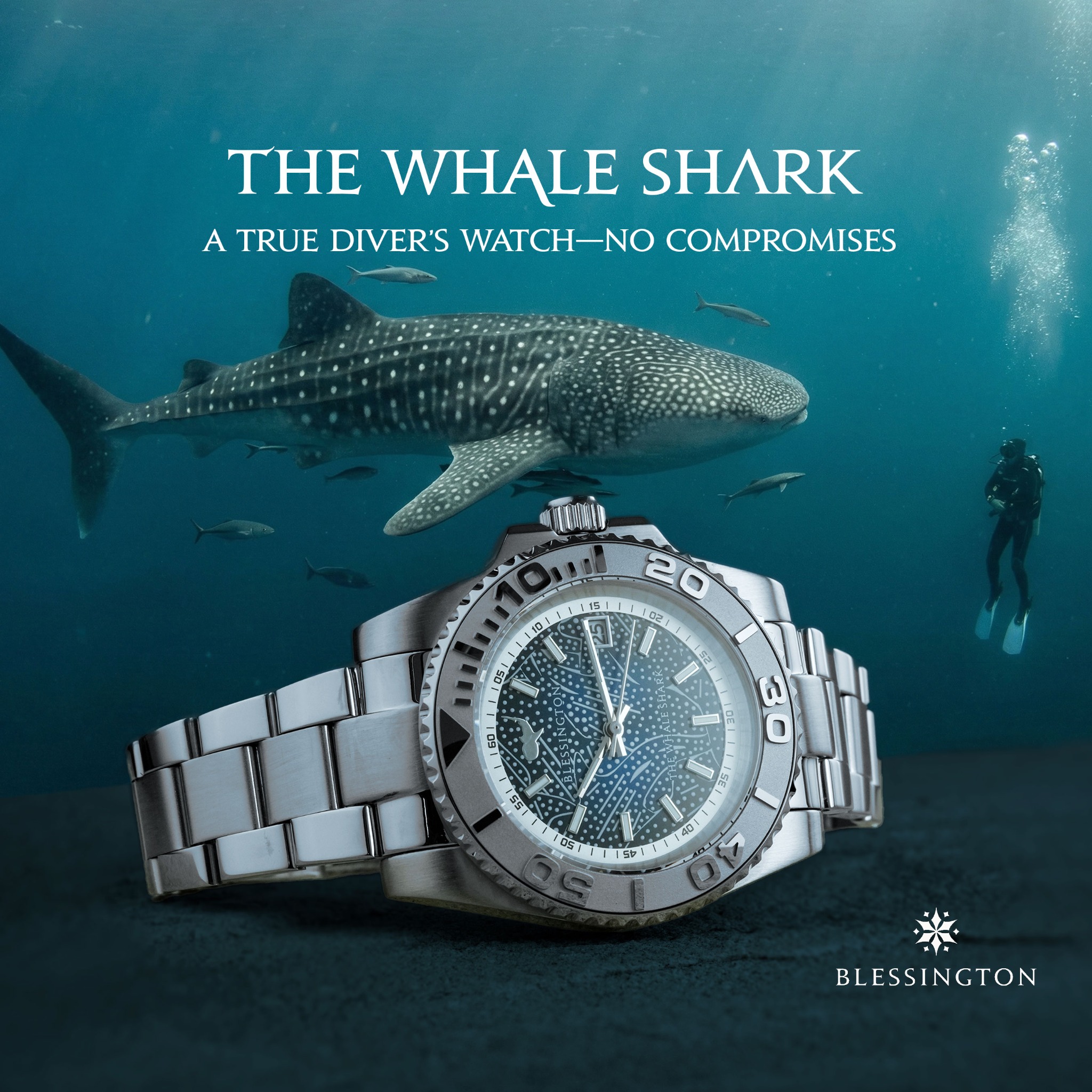 Blessington & Co Facebook ad: Australia's Most Popular Watch - The Whale Shark