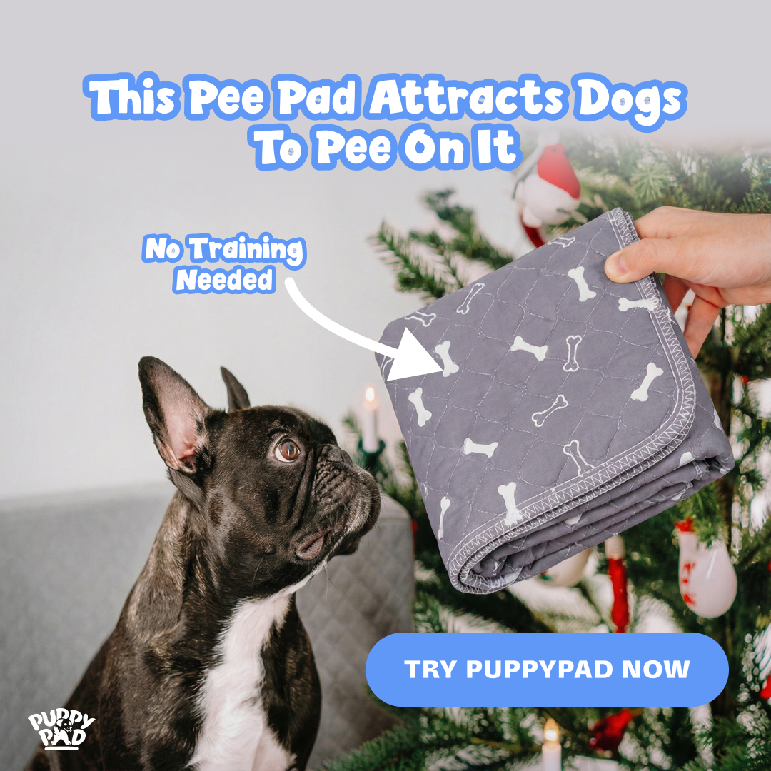 PuppyPad Facebook ad