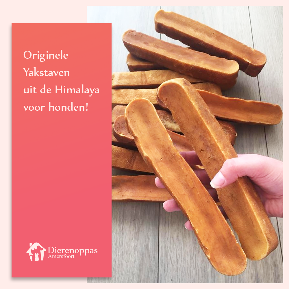 Dierenoppas Amersfoort Facebook ad