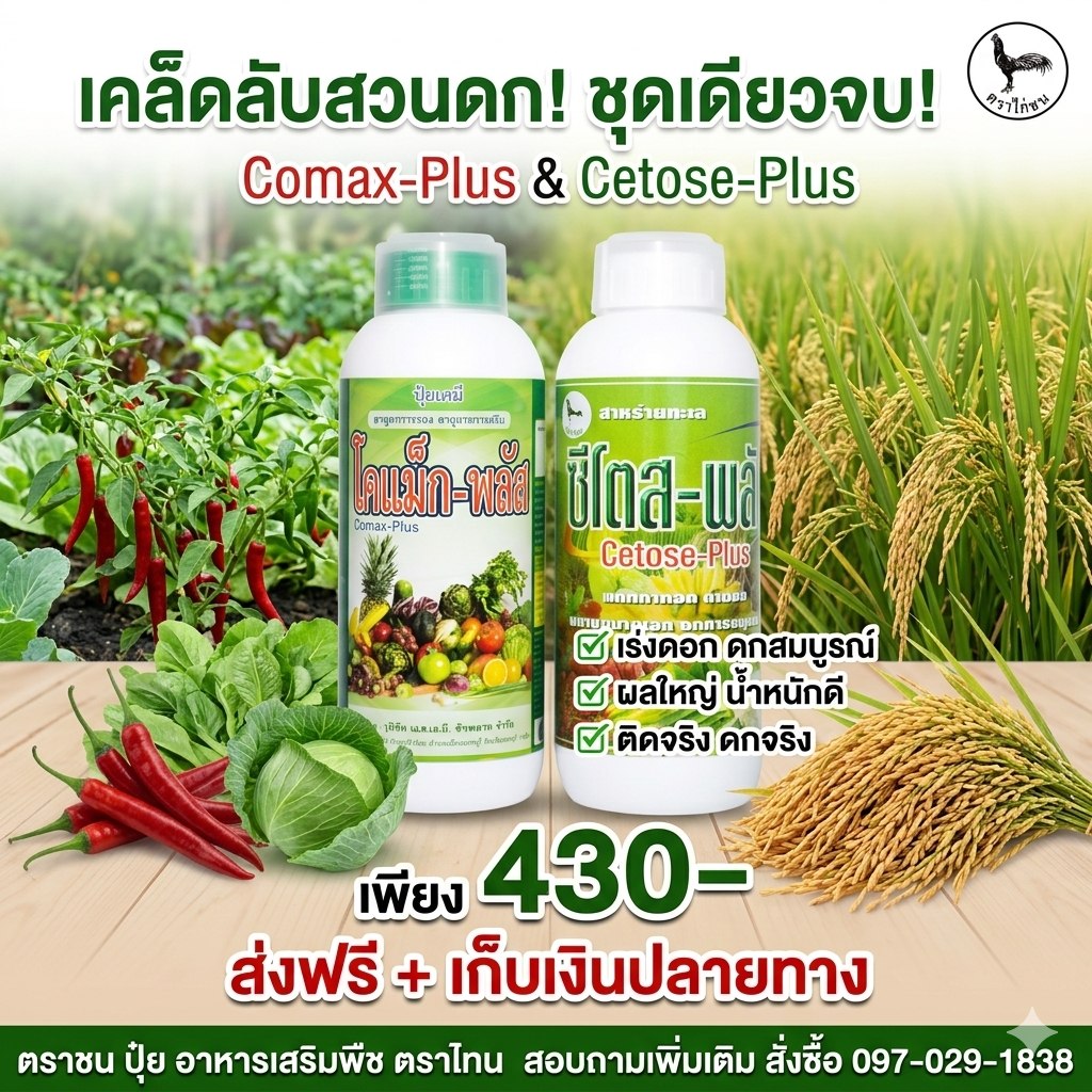 ปุ๋ย อาหารเสริมพืช ตราไก่ชน Facebook ad: เร่งดอก ออกผลดีขึ้น เห็นผลไว