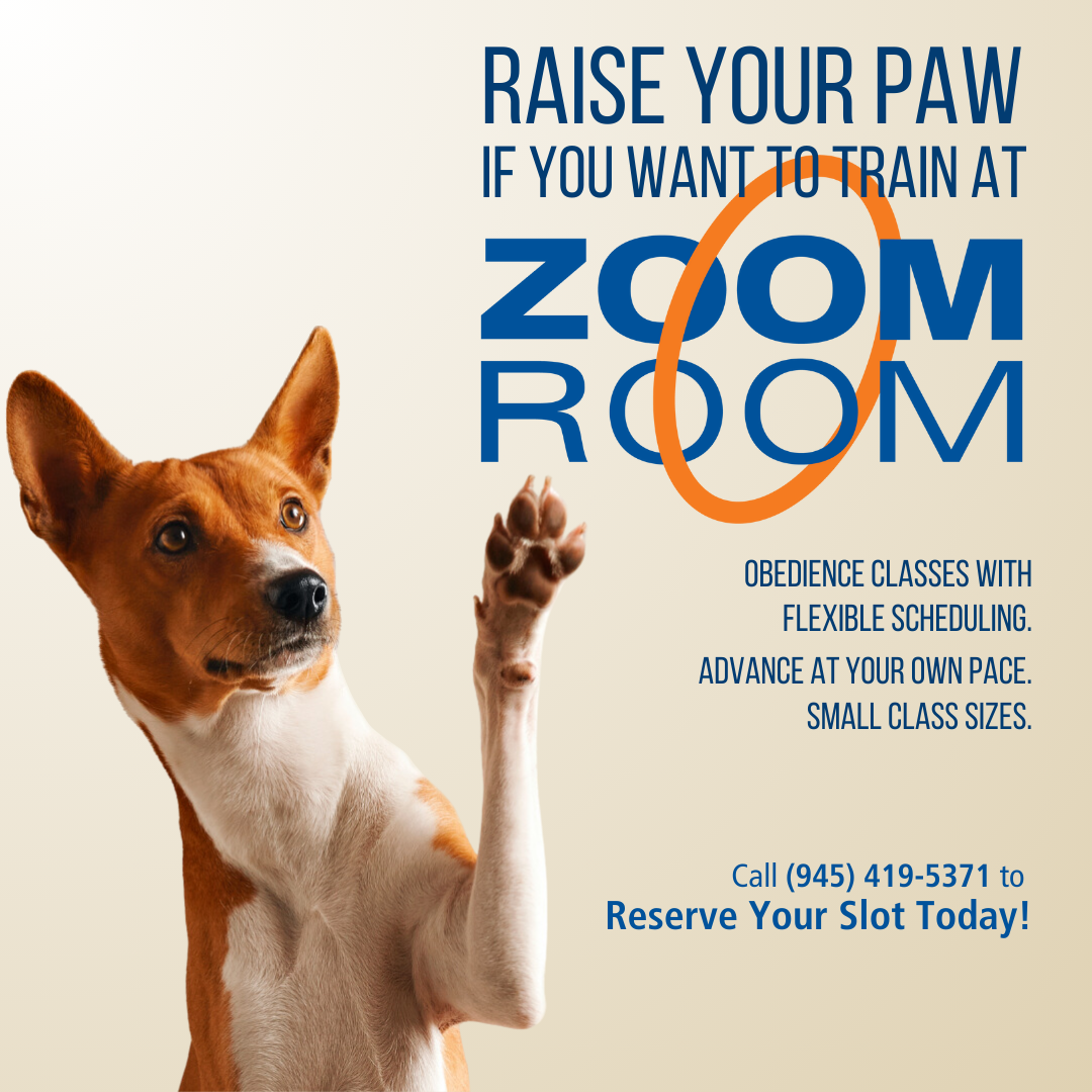 Zoom Room Dog Training Facebook ad from Apr 15, 2025