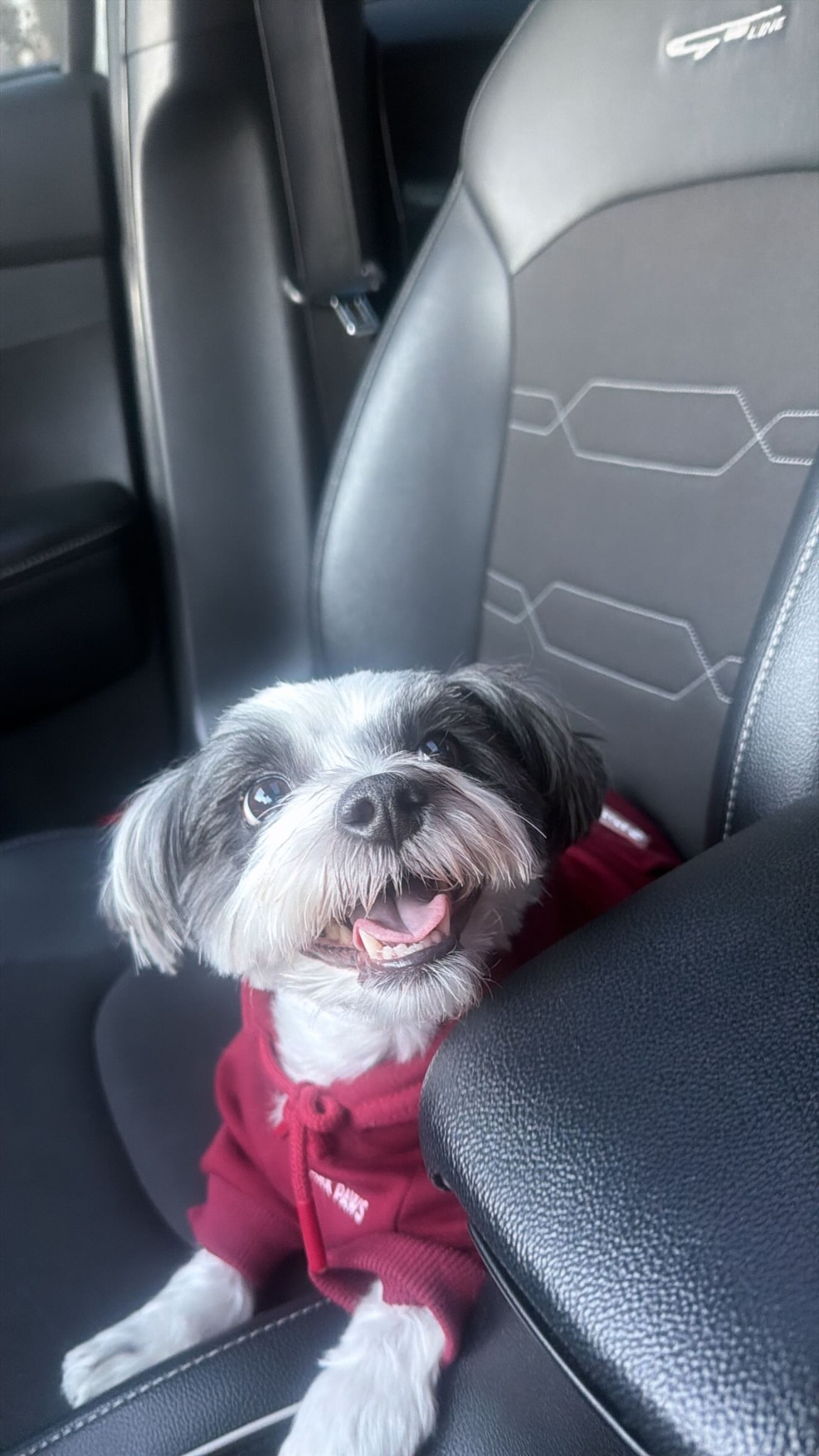 Spark Paws Facebook ad