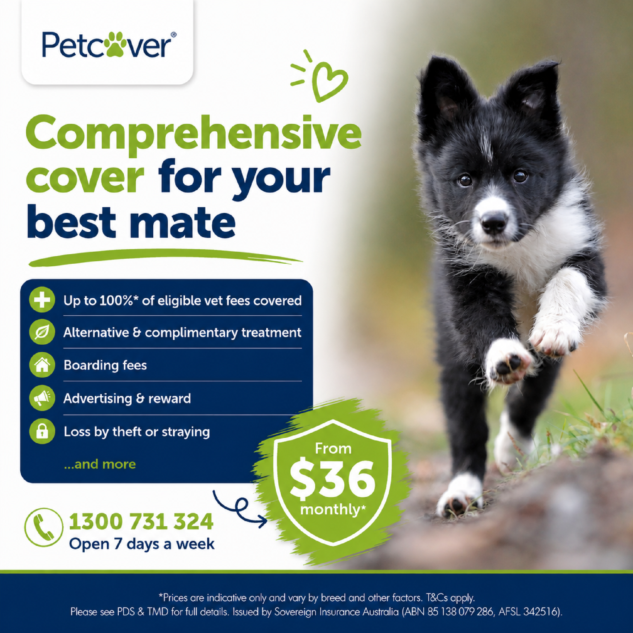 Petcover Australia Facebook ad: Claim up to 100%* of eligible vet bills