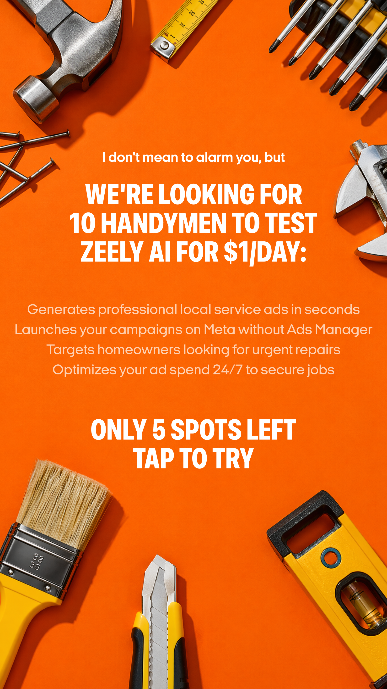 Zeely Facebook ad