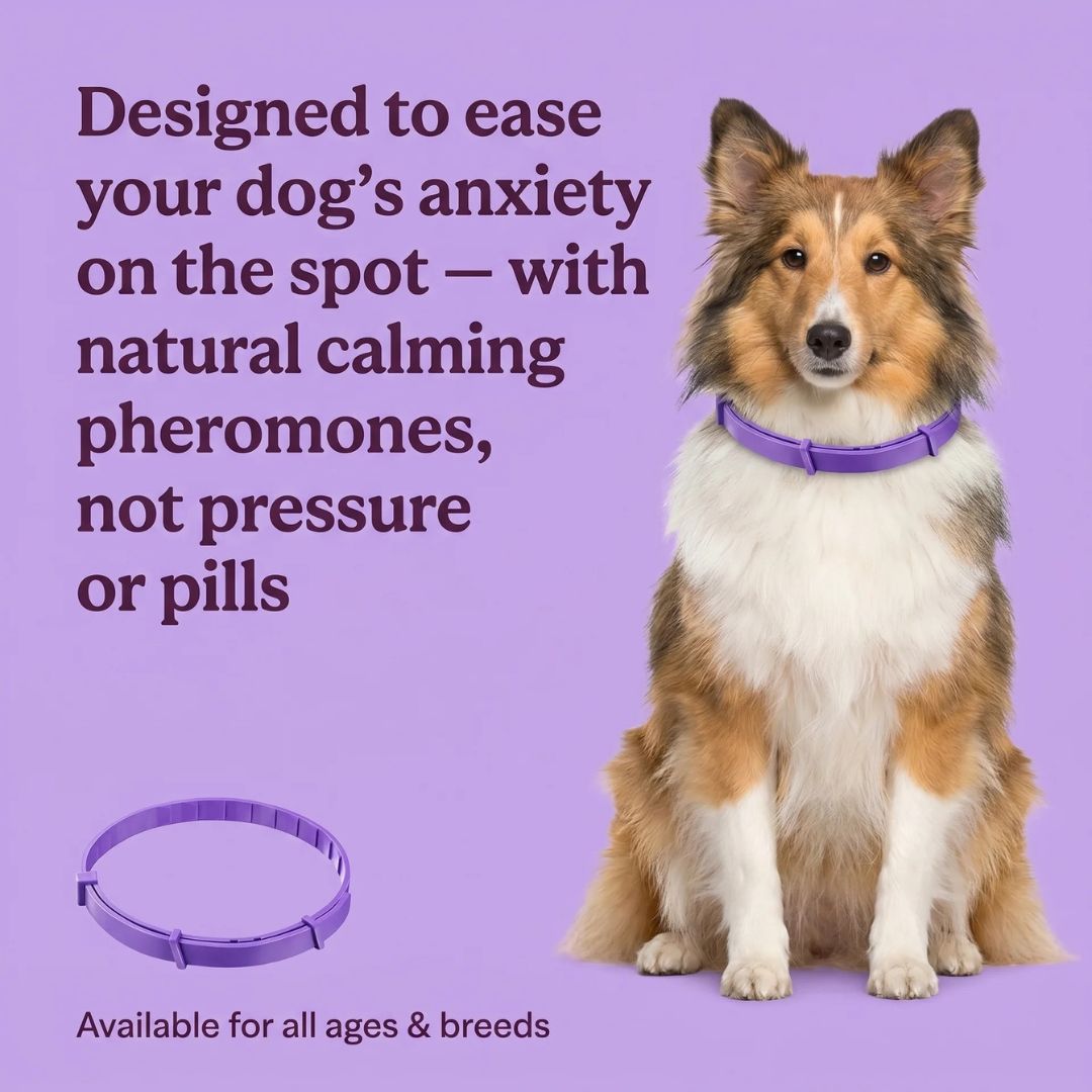 PawLax Facebook ad