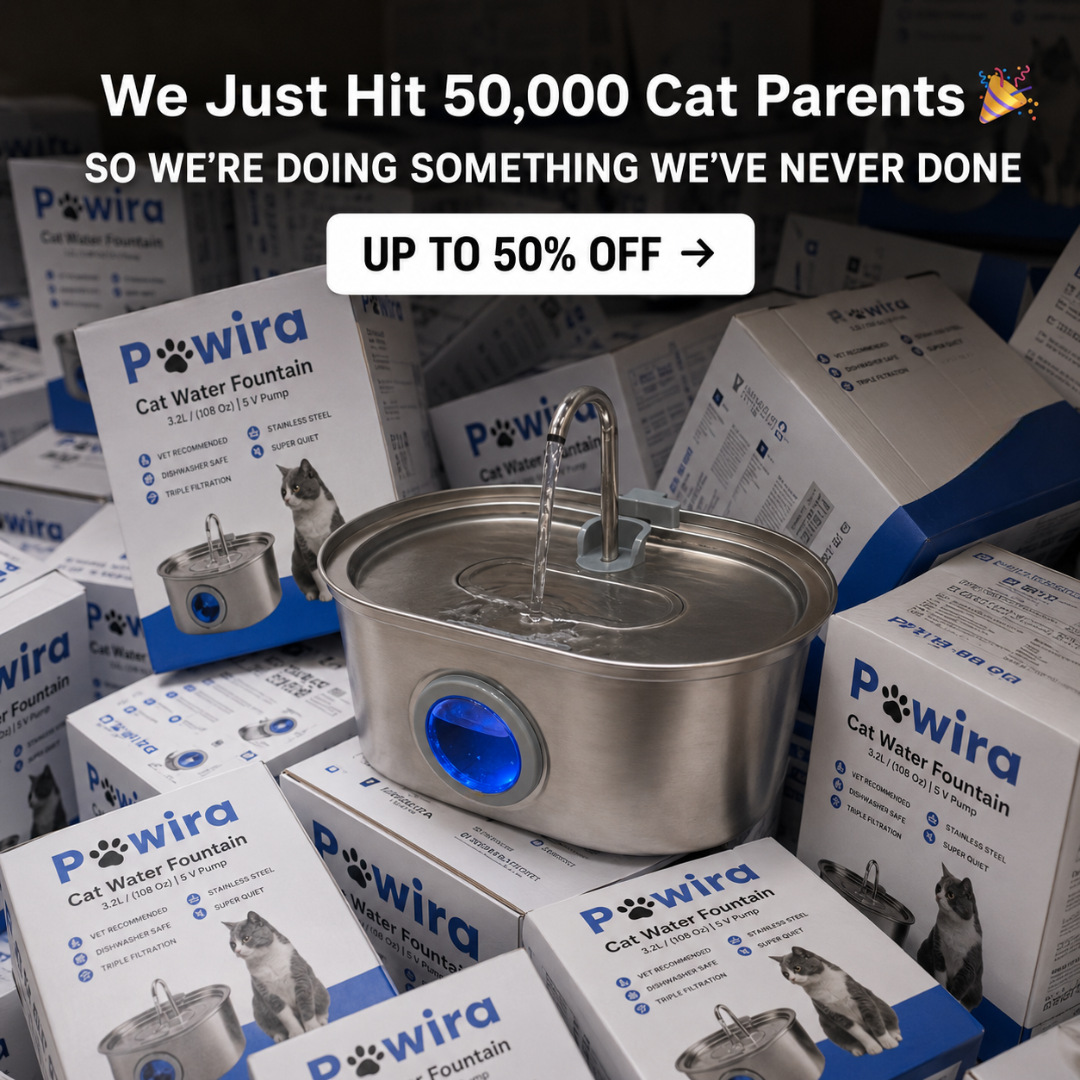 Pawira Facebook ad