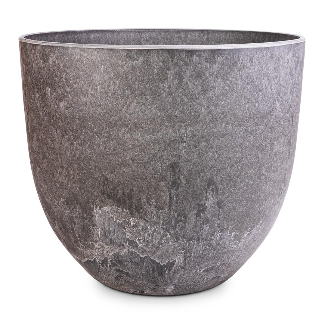 Hortology Facebook ad: 100's of Quality Plants & Pots Delivered Straight…
