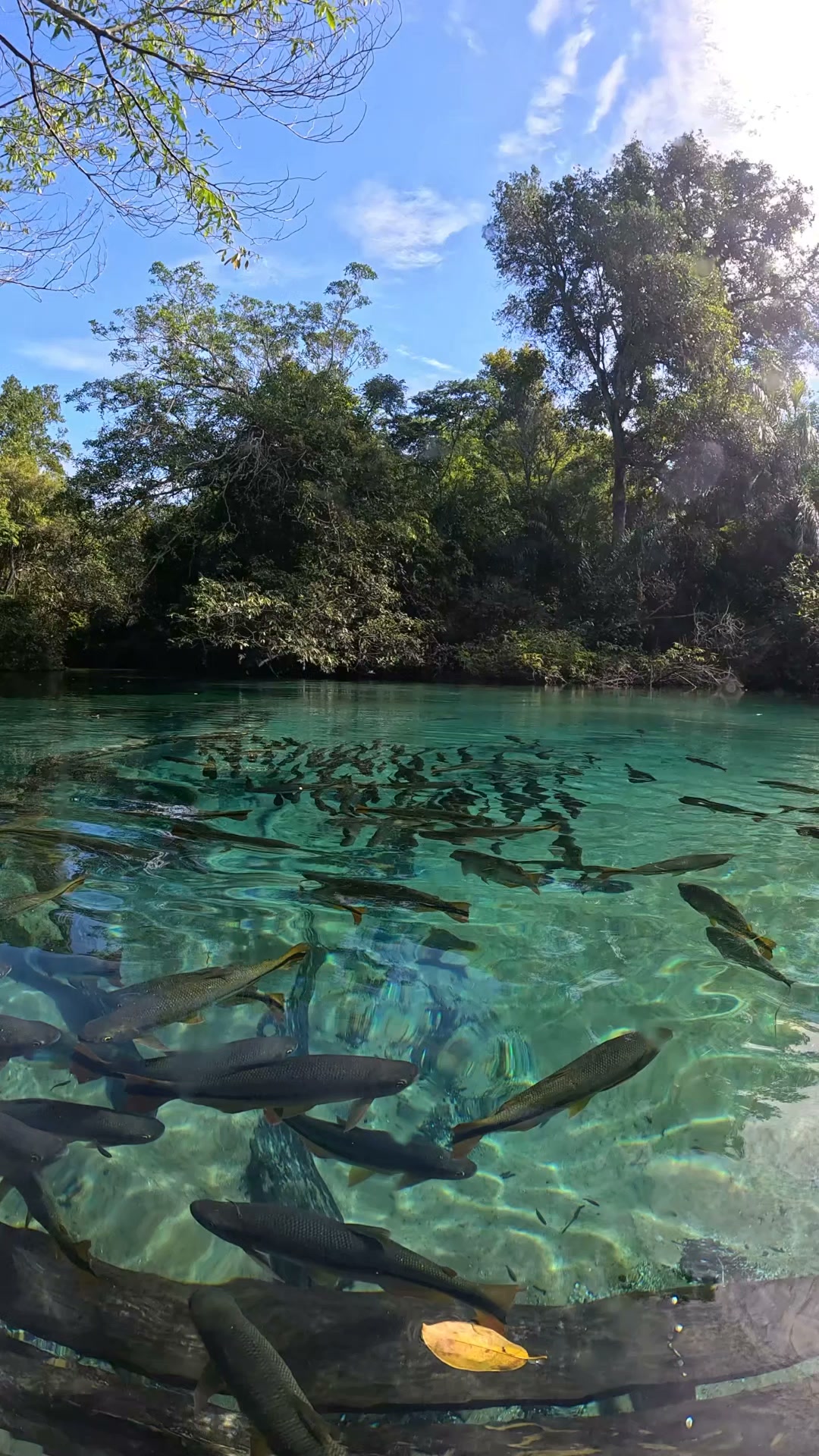 Recanto Ecológico Rio da Prata Facebook ad: Chat with us