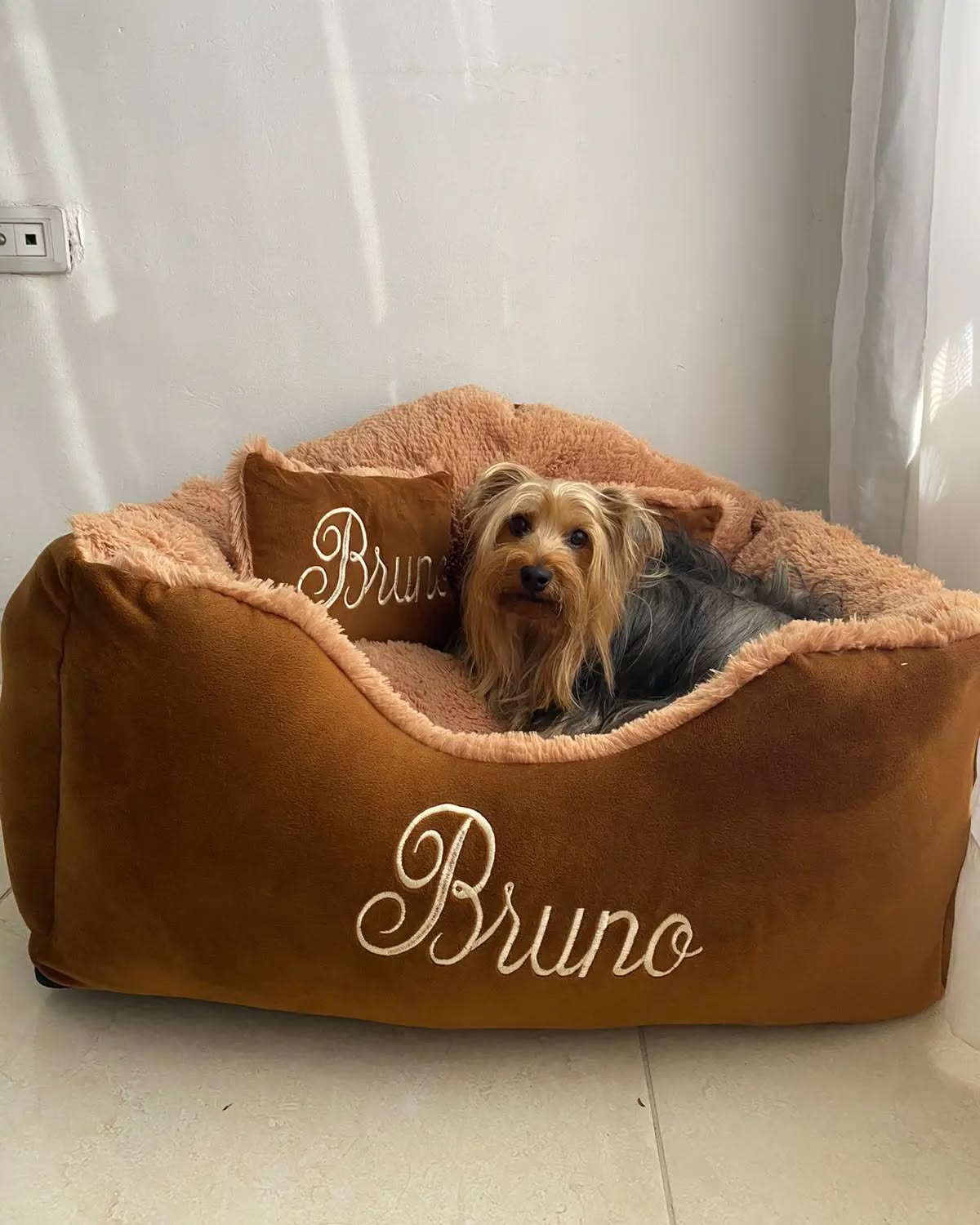 Boutique Fashion PETS Col Facebook ad: Camas Personalizadas