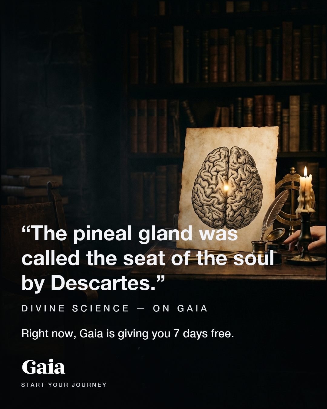Gaia Facebook ad